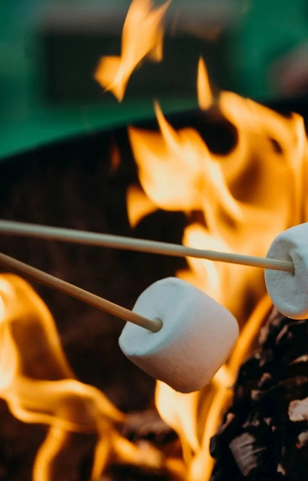 Smokeless Fire Pit and BBQ