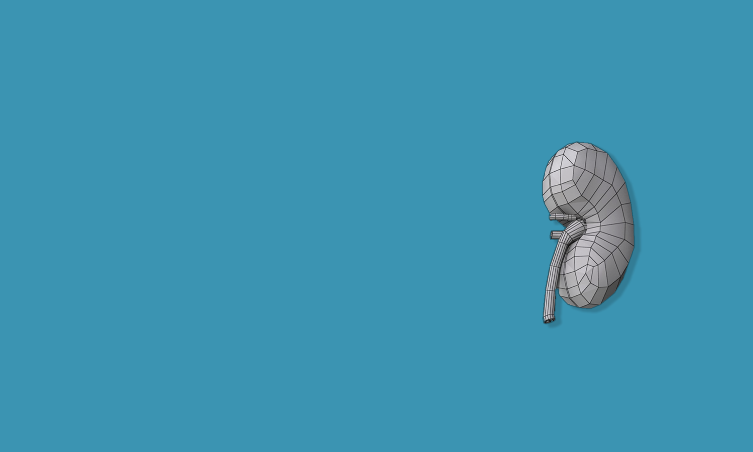 homi-zargar-header-image-3d-kidney.png