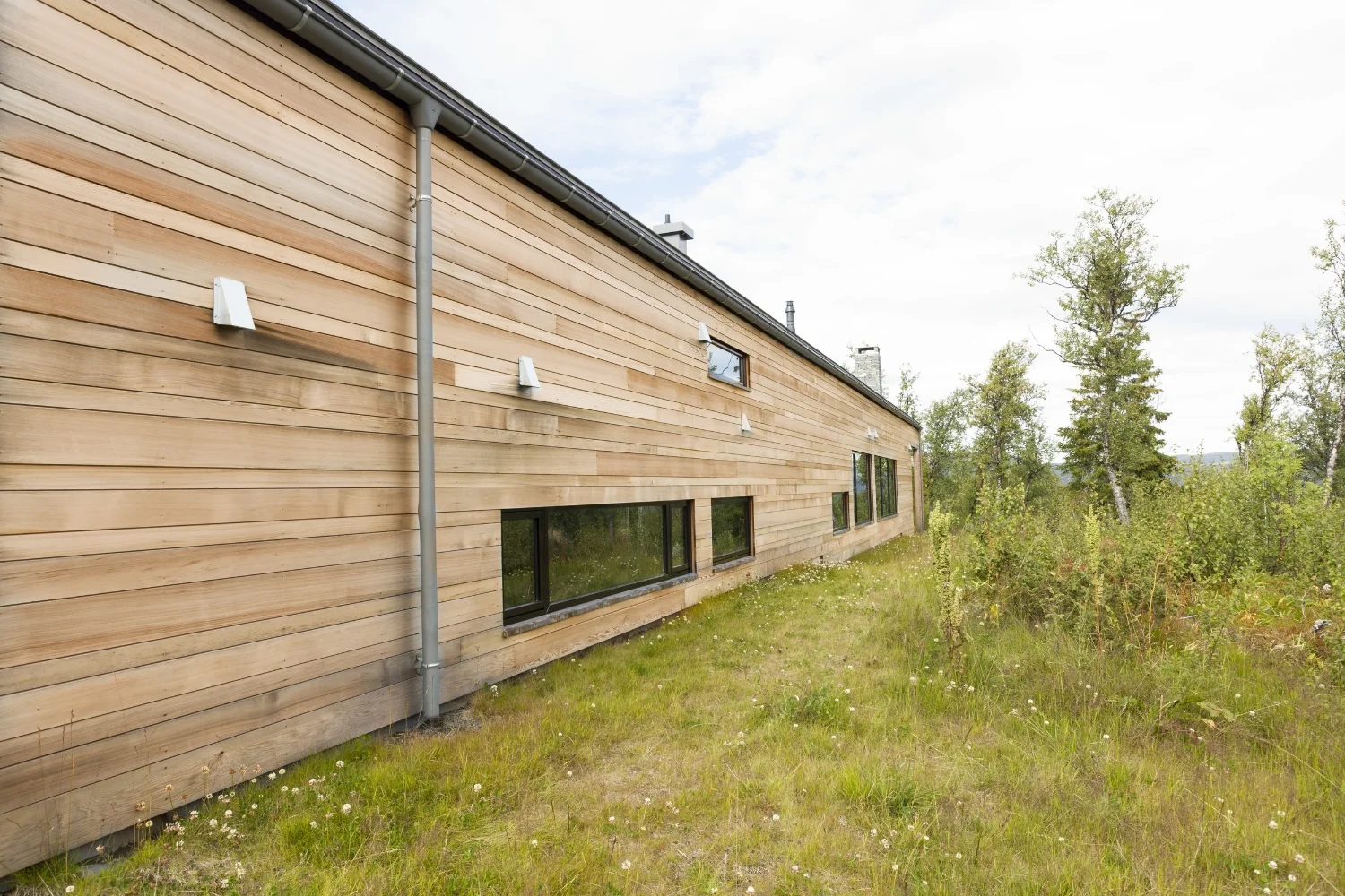 Geilo_t_resenIMG_9370-2.jpg