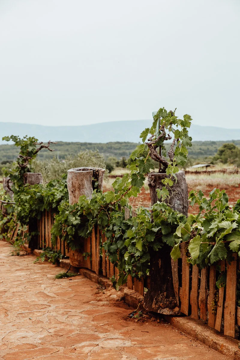 9 Best things to do in Stari Grad, Hvar Island, Croatia