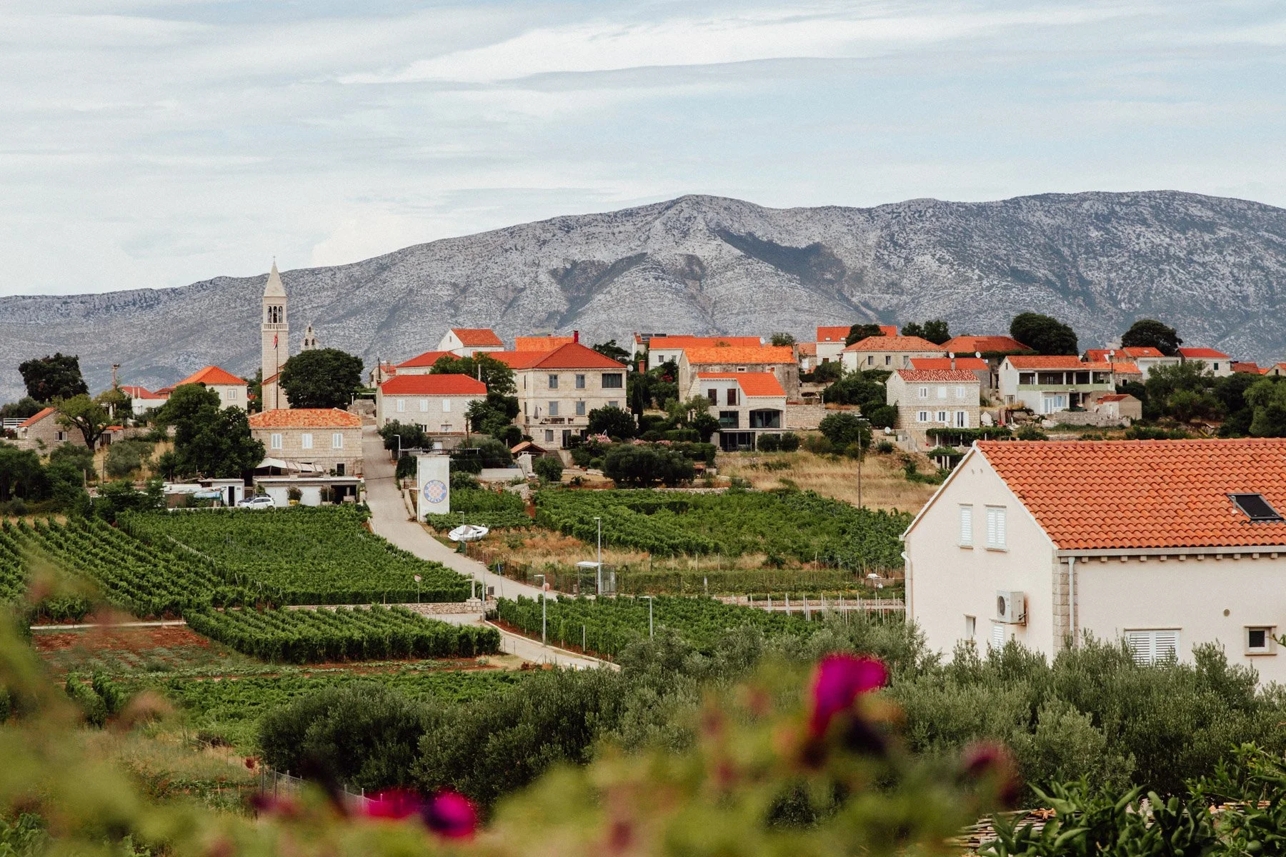 Guide to wine tasting in Lumbarda, Korcula, Croatia