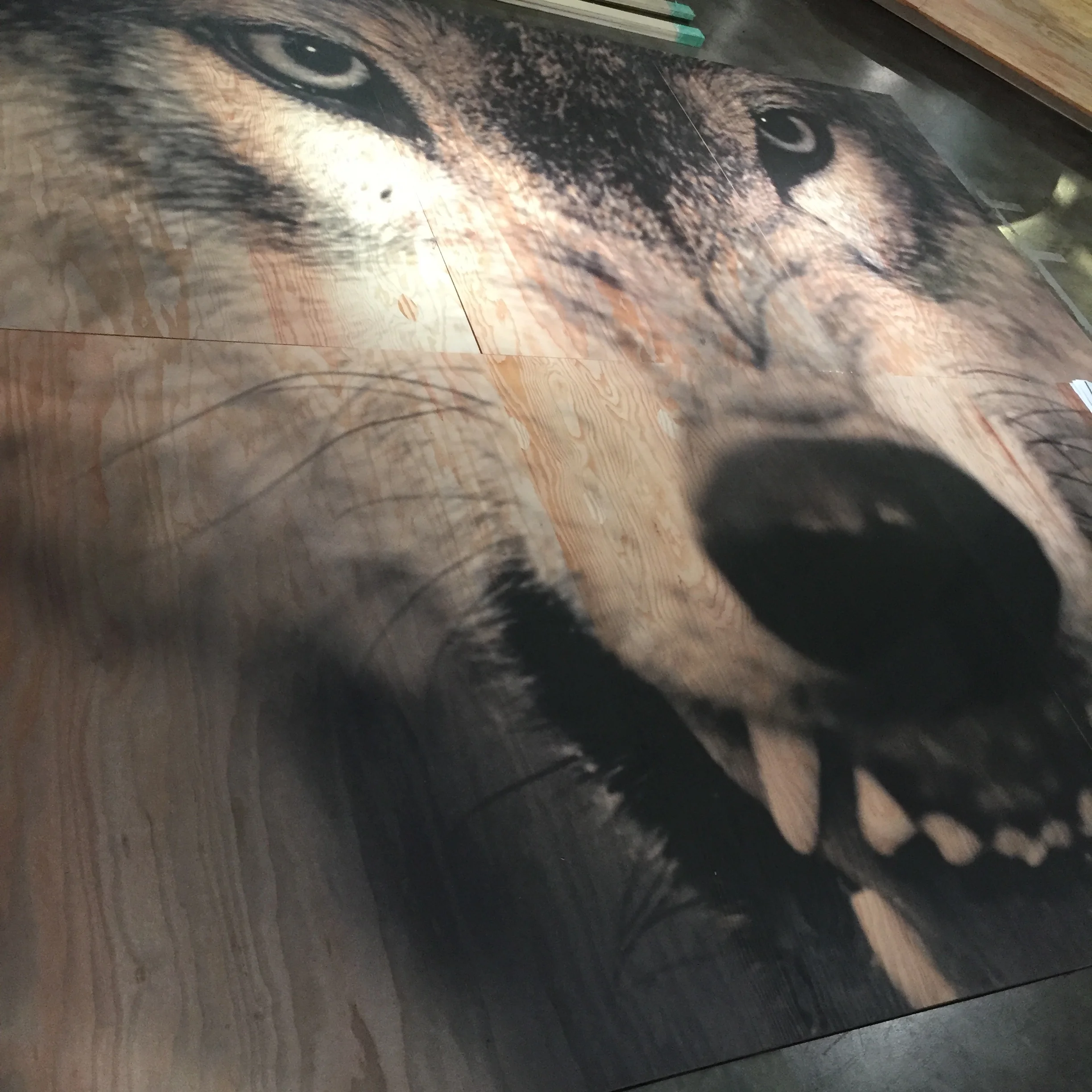  Direct to surface printing onto plywood really brought out the animal in this piece.....&nbsp; oh boy... 