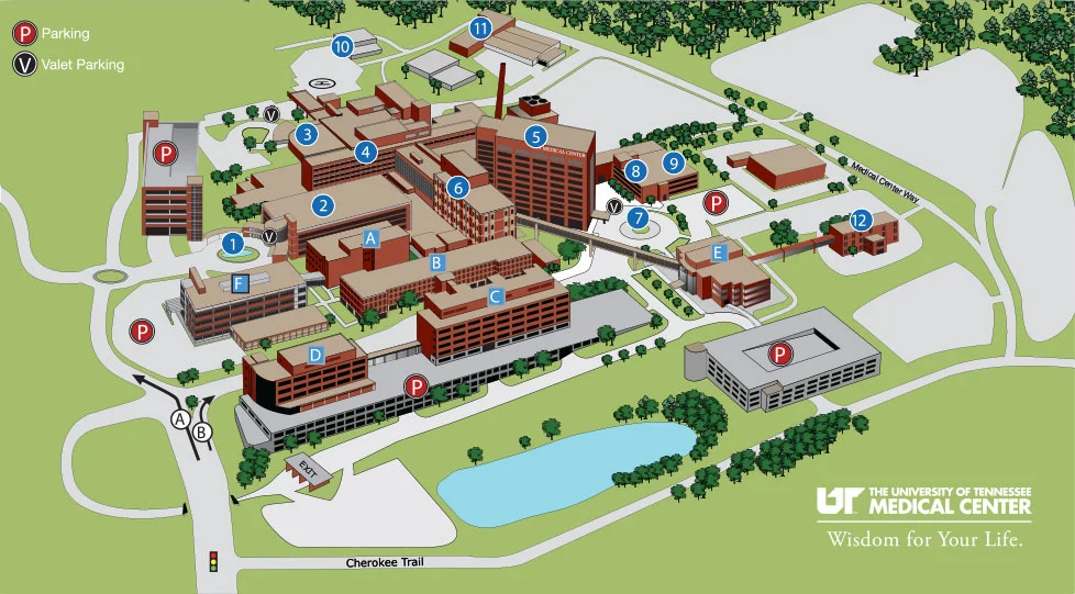 UT Medical Center — High Risk Obstetrical Consultants