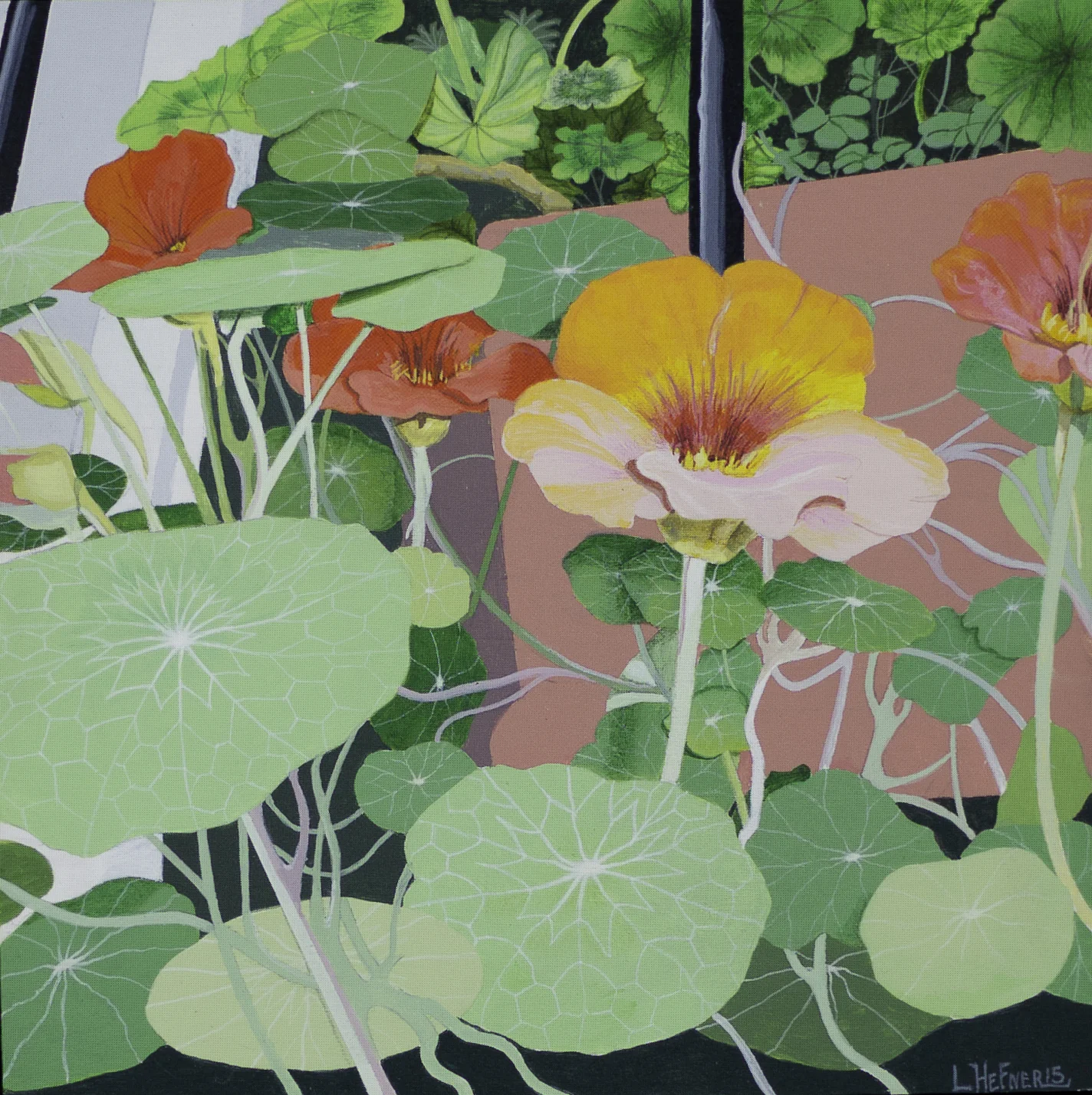 Nasturtiums I