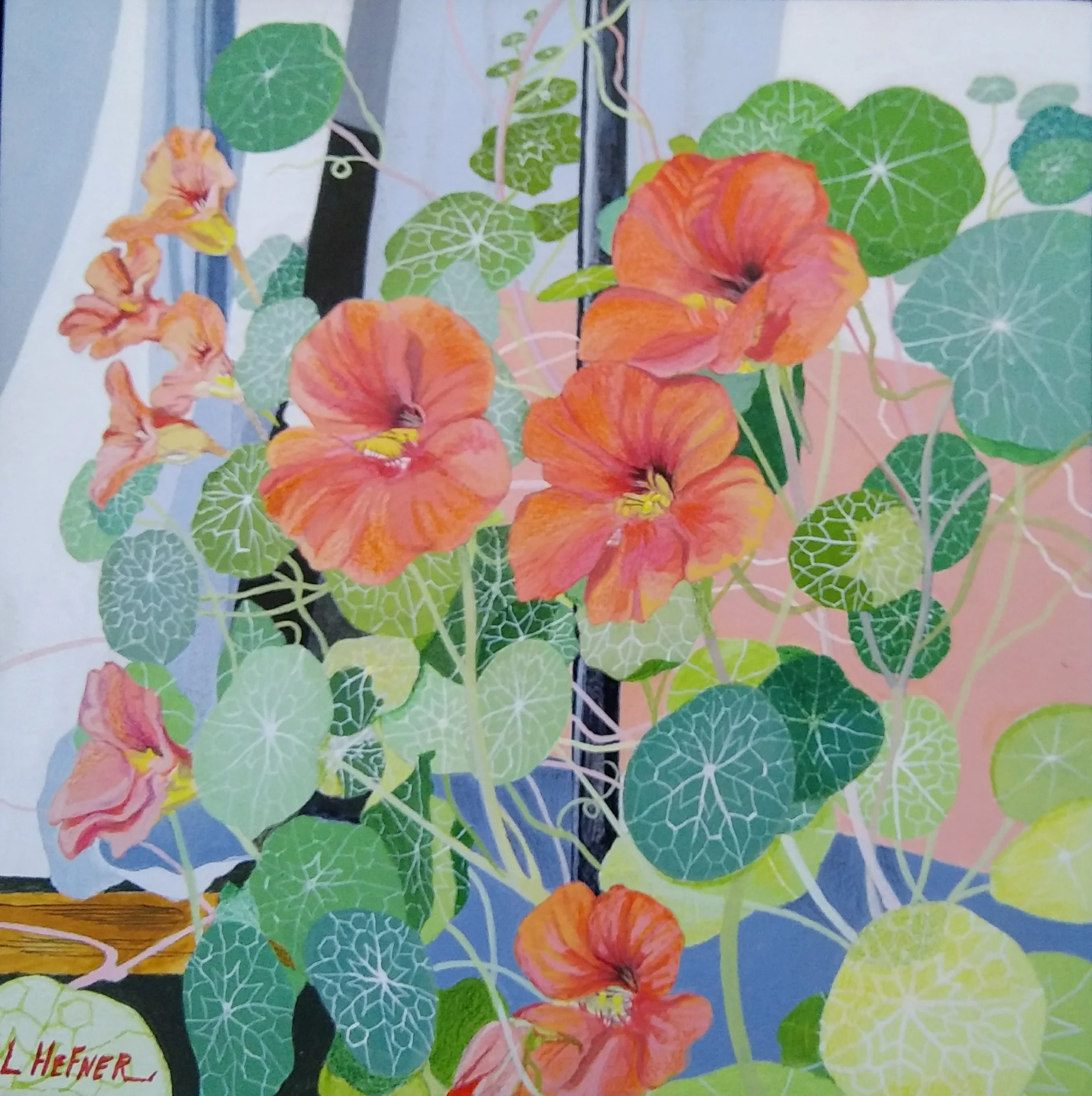 Orange Nasturtiums