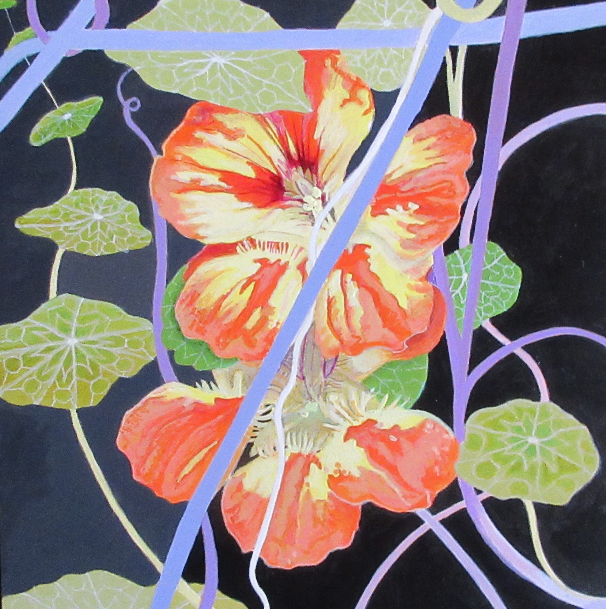 Orange Nasturtiums