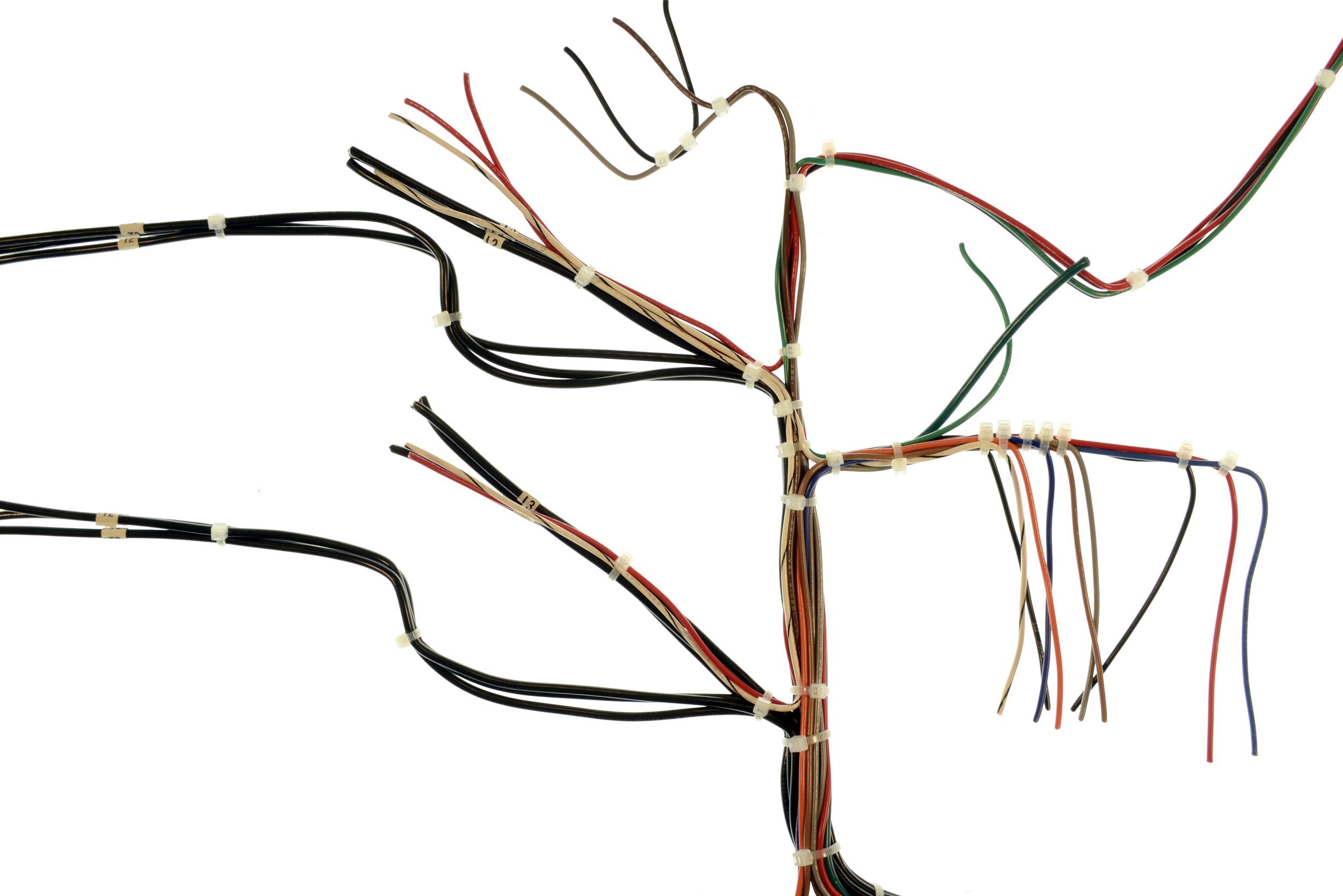 harness cut detail 2.jpg