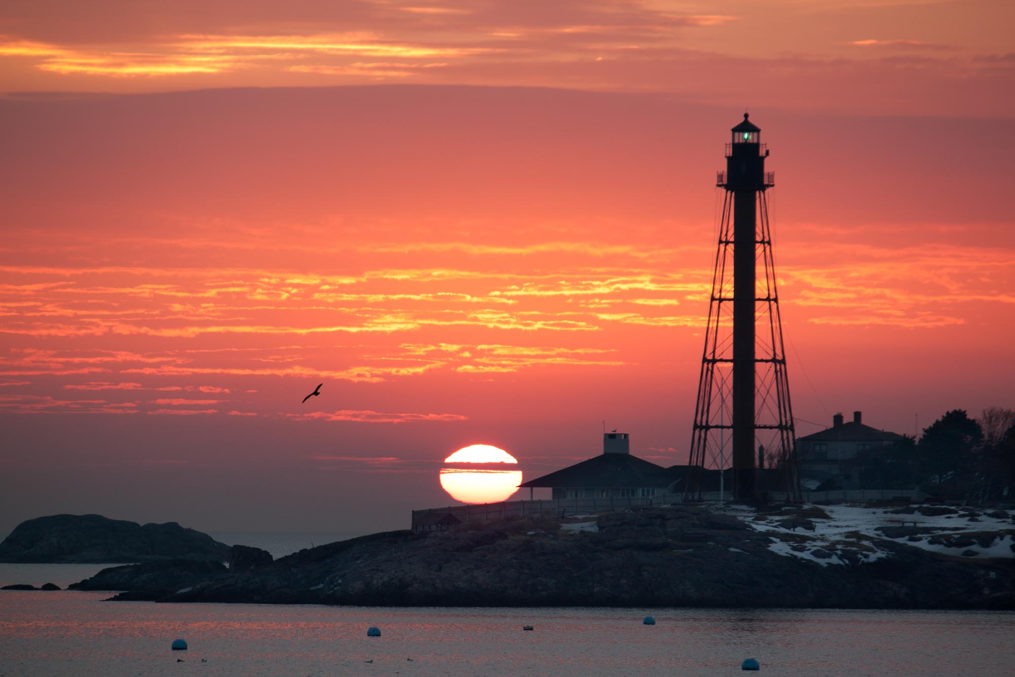 Marblehead Lighthouse Sunrise/Seagull