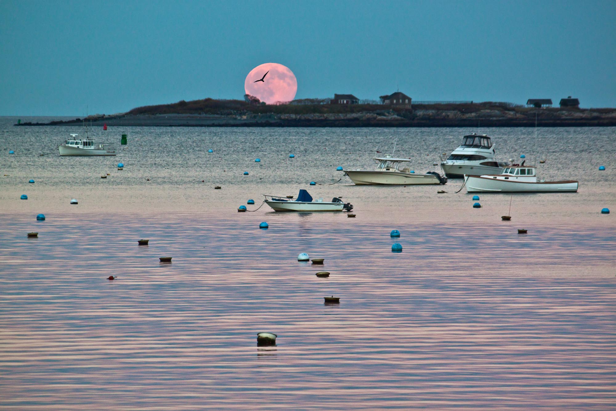 "Full Moon over Children's Island"