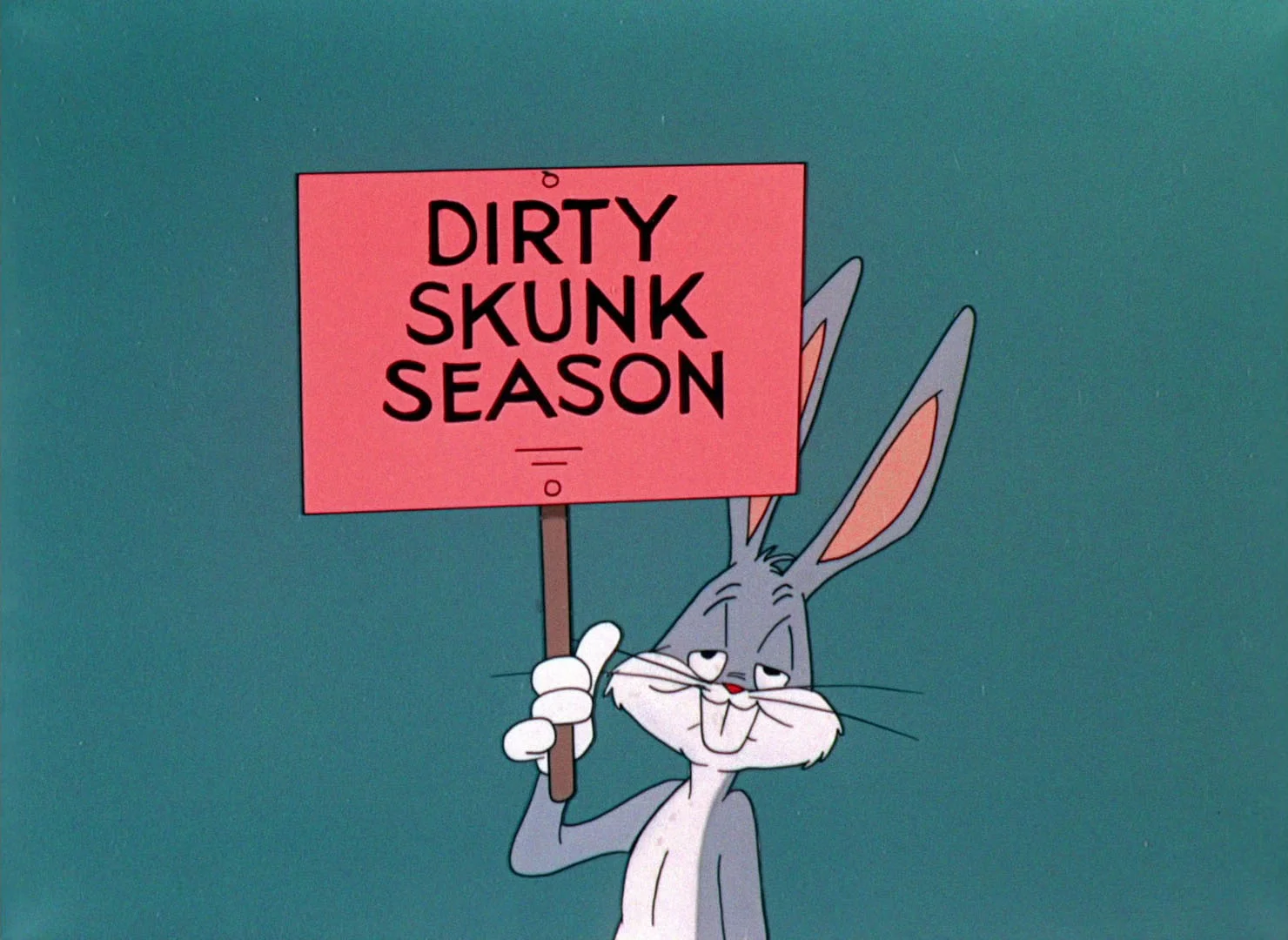 Duck Rabbit Duck (18).jpg