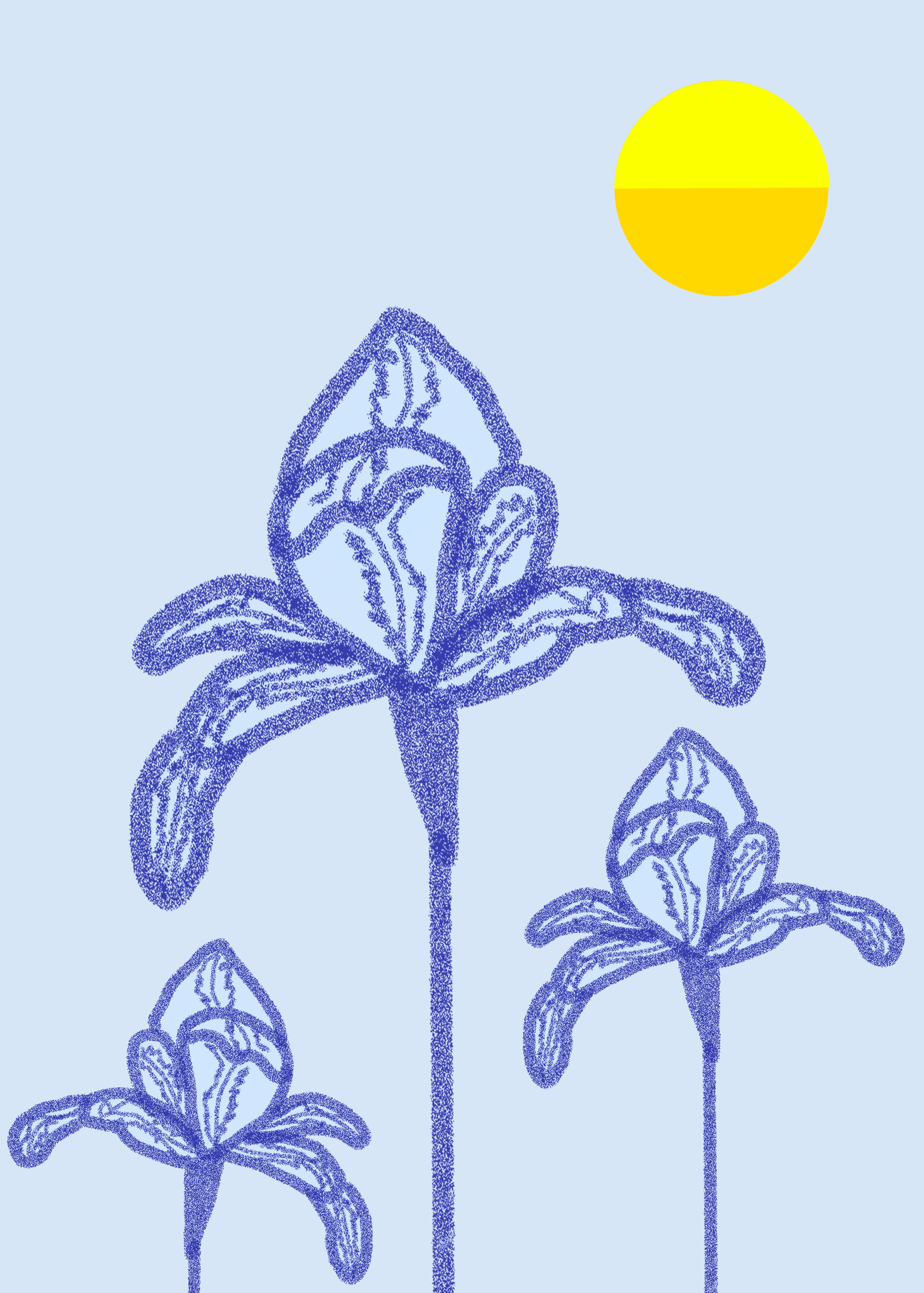 Postcard_iris.png