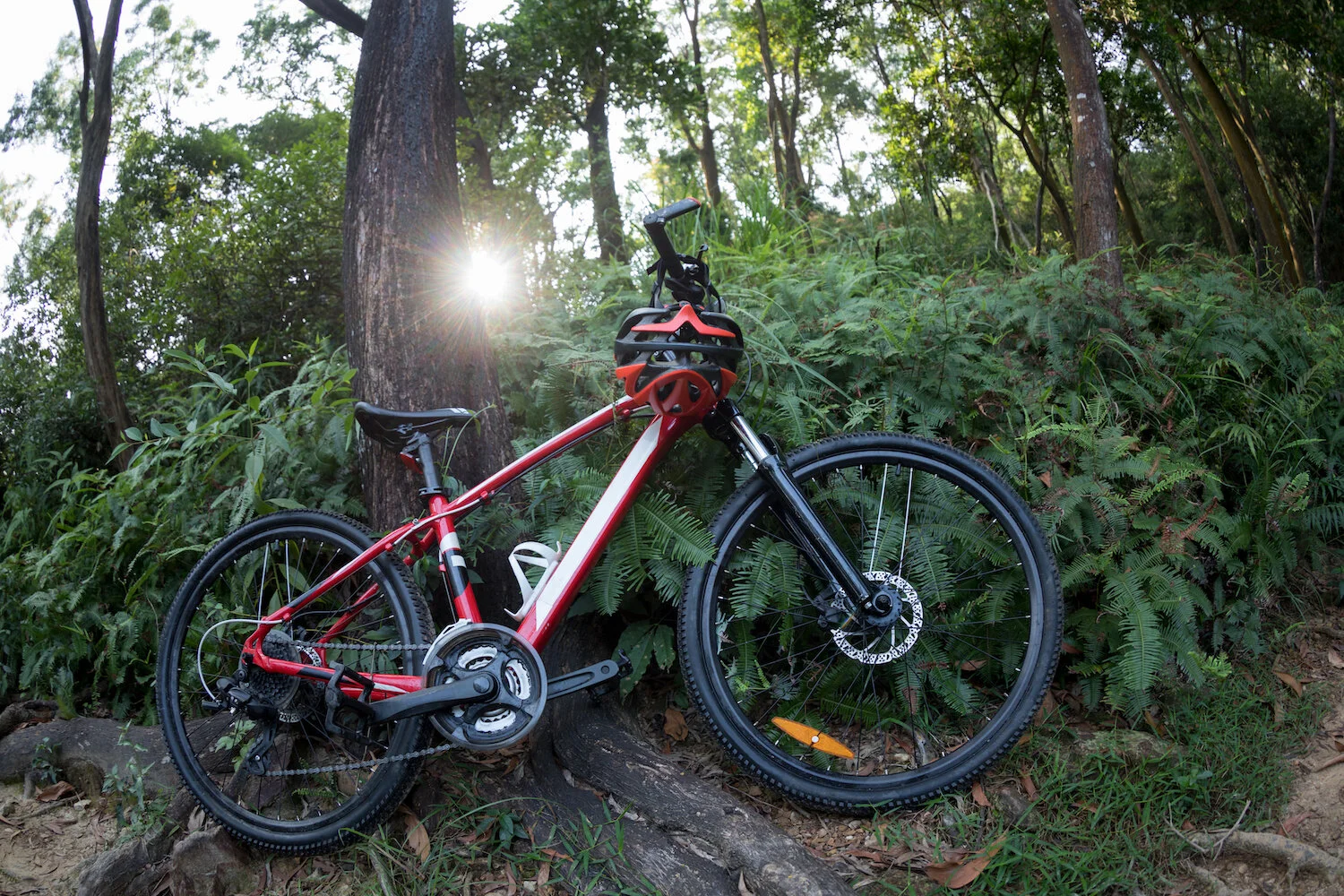 Mountain Bikes Watersong.jpeg
