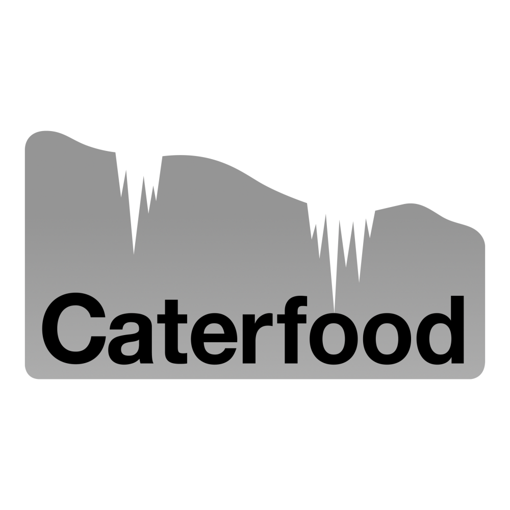 Logo with a gray mountain range graphic and the word 'Caterfood' in bold black letters