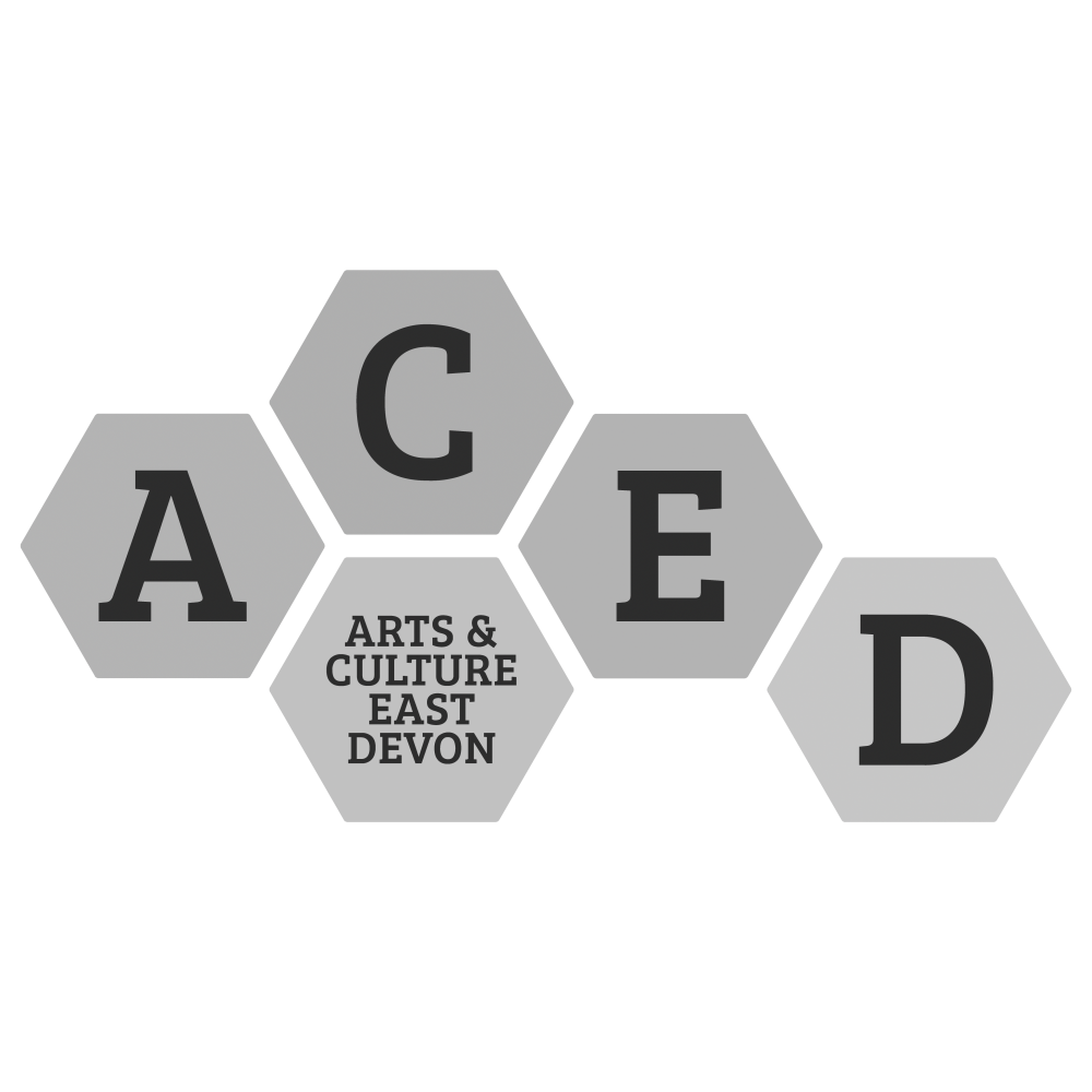 Hexagons with letters A, C, E, D, and text 'Arts & Culture East Devon' in the center, arranged in a honeycomb pattern.