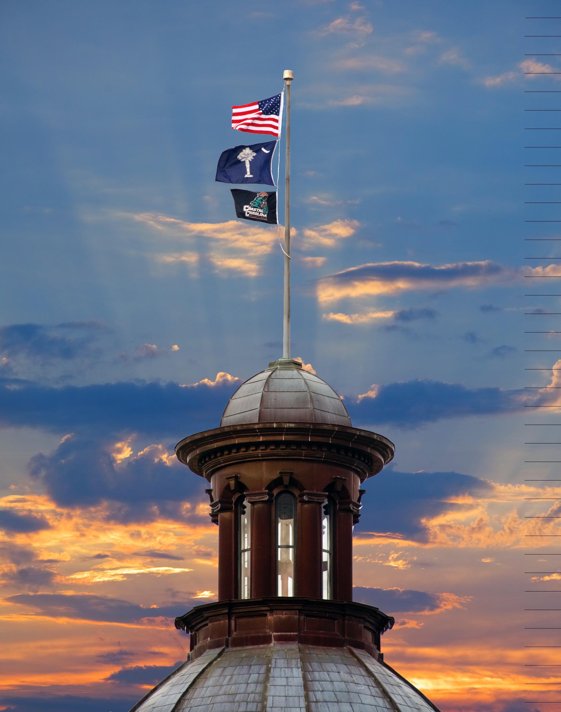 SC State House Print