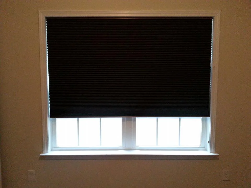 Blackout Pleated Shade