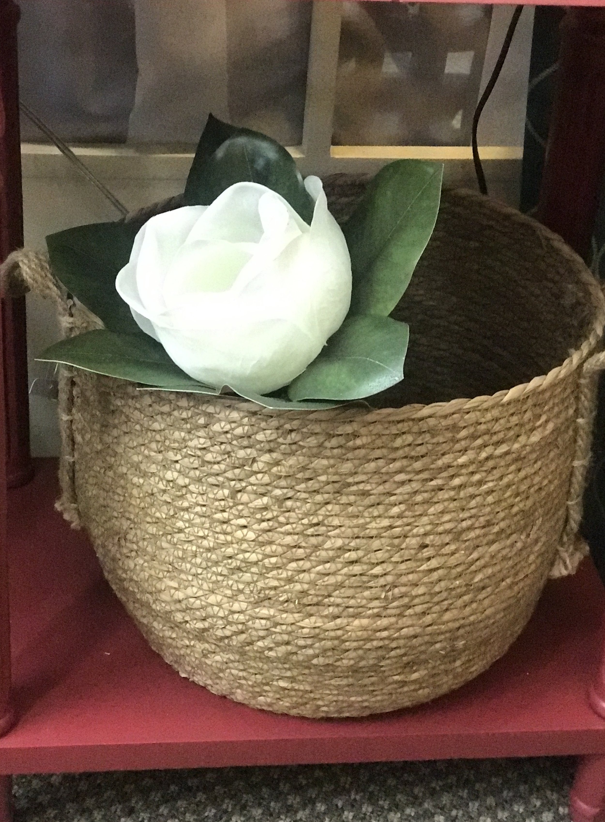 Magnolia in Basket