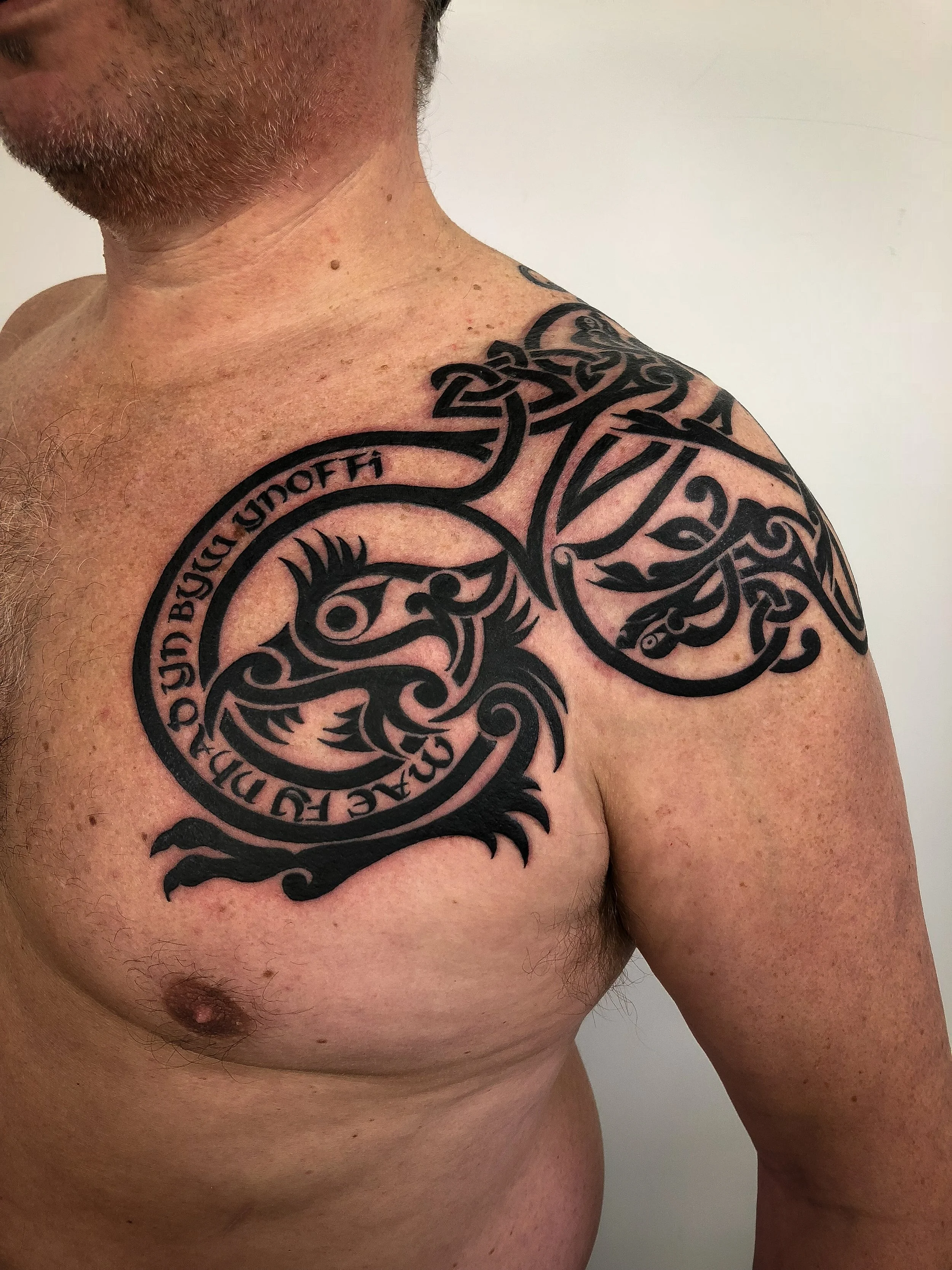 Welsh Celtic dragon knotwork tattoo-1.jpg