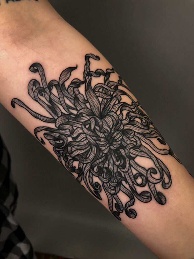 Wilted chrysanthemum fineline tattoo 2