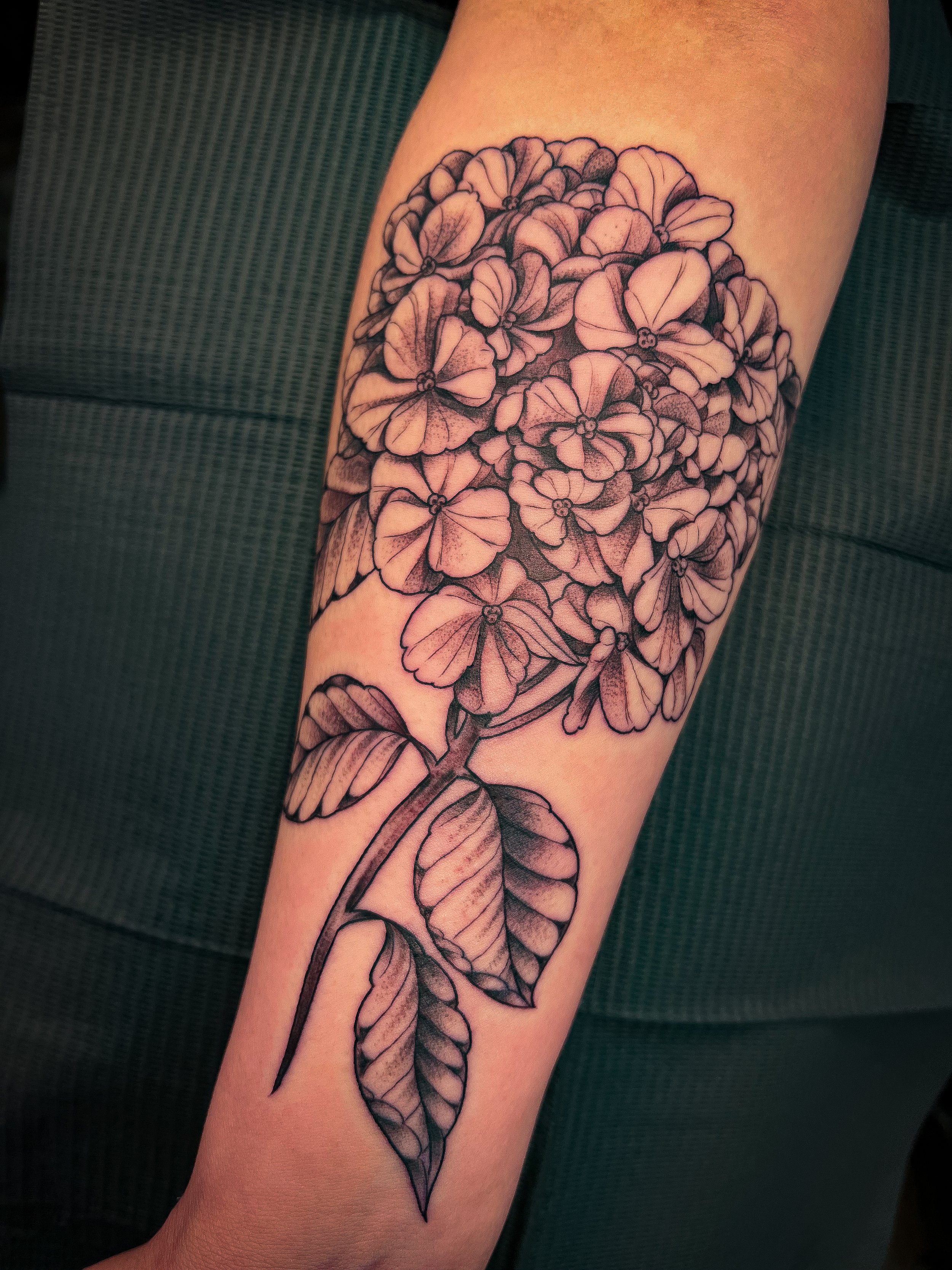 Blackwork Hydrangea Tattoo