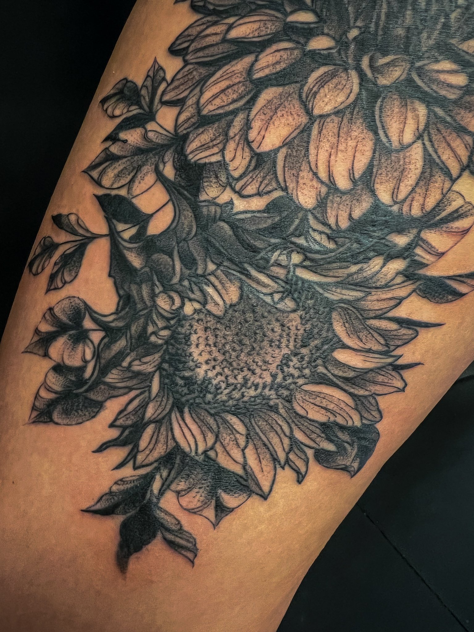 Blackwork Floral Daisy Dahlia Sunflower 4