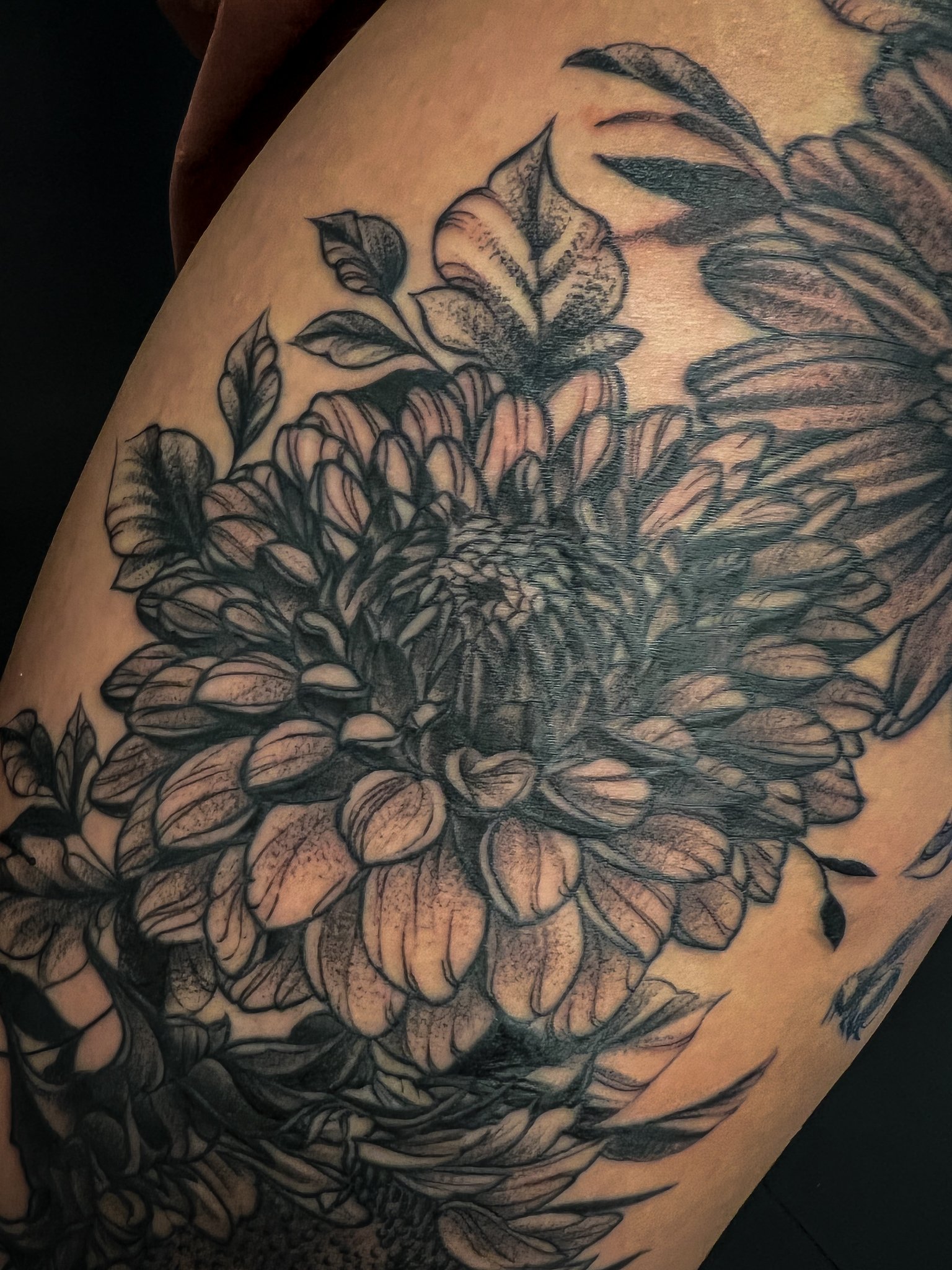 Blackwork Floral Daisy Dahlia Sunflower 3