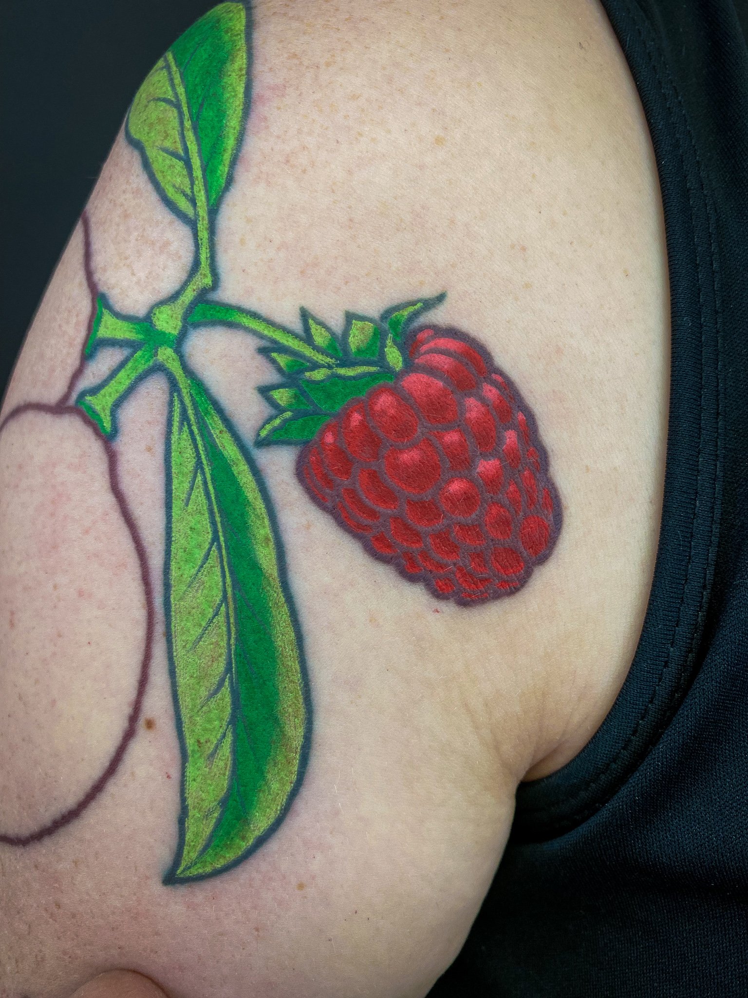 Botanical Fruit Sleeve 2