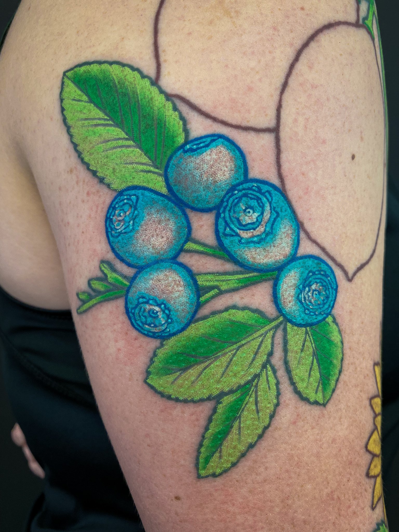 Botanical Fruit Sleeve 1