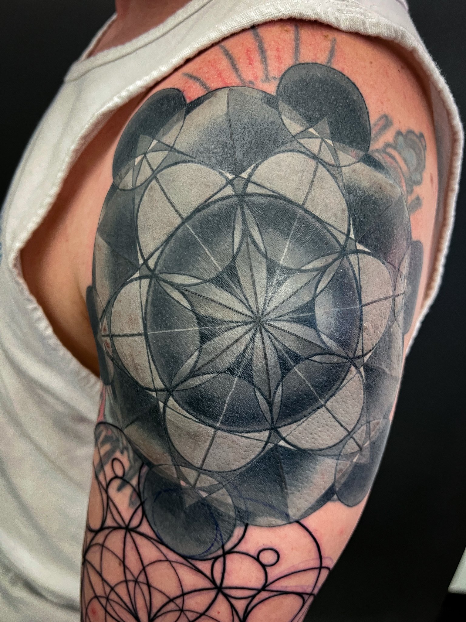 Sacred Geometry Coverup 3