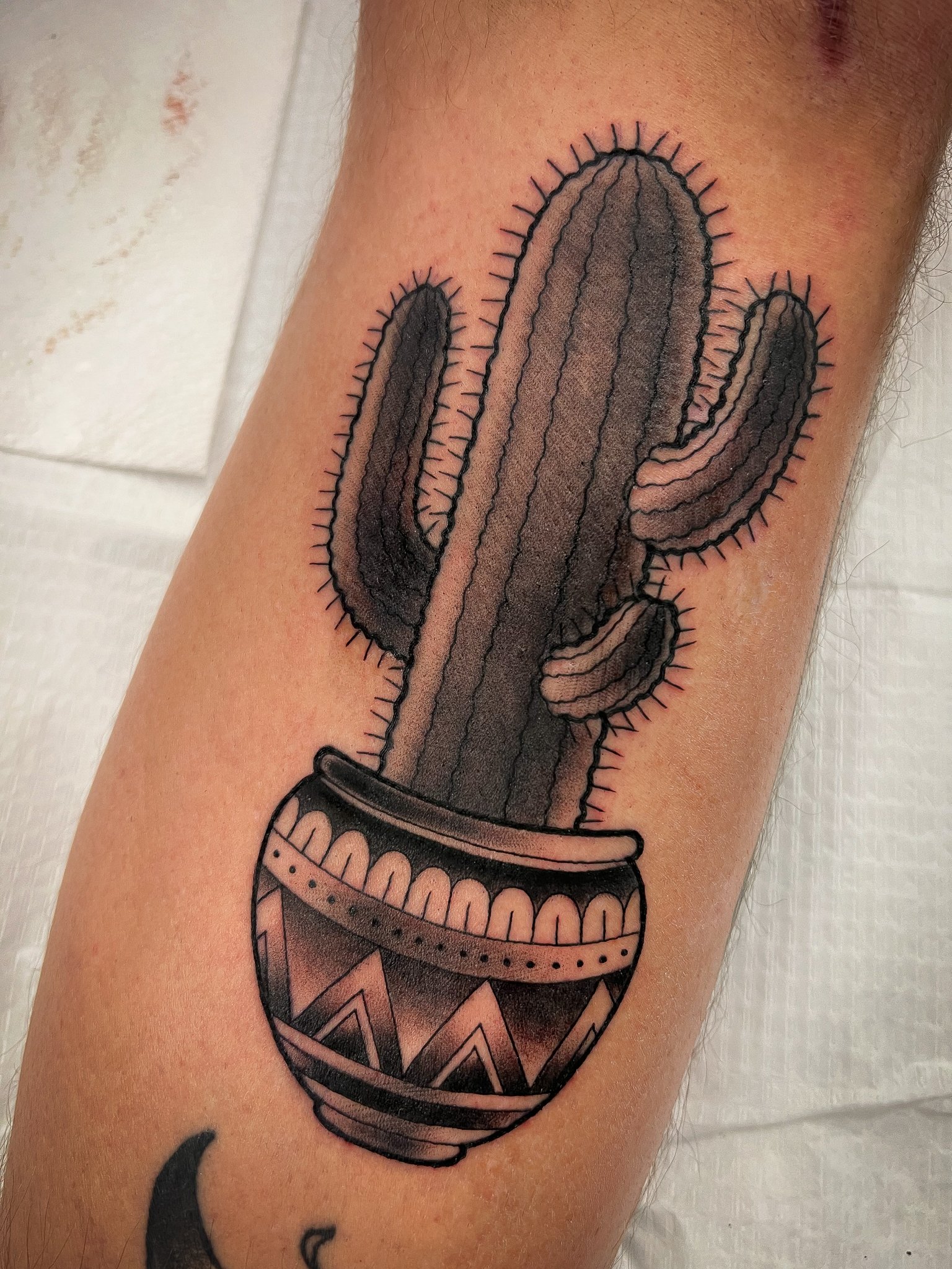 Neotraditional Cactus Tattoo 2