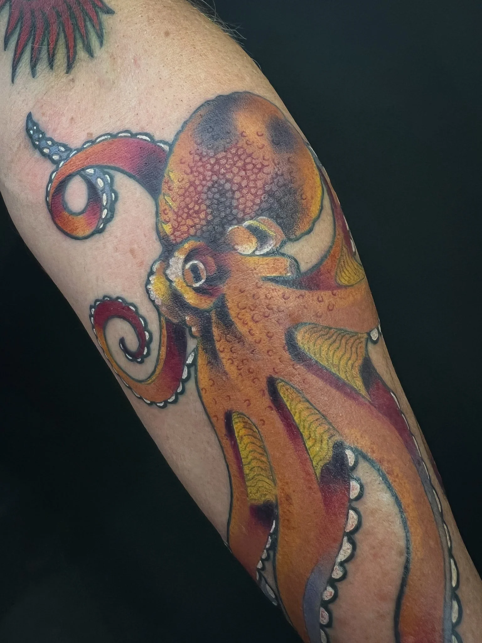 Traditional Octopus Tattoo-1.jpg