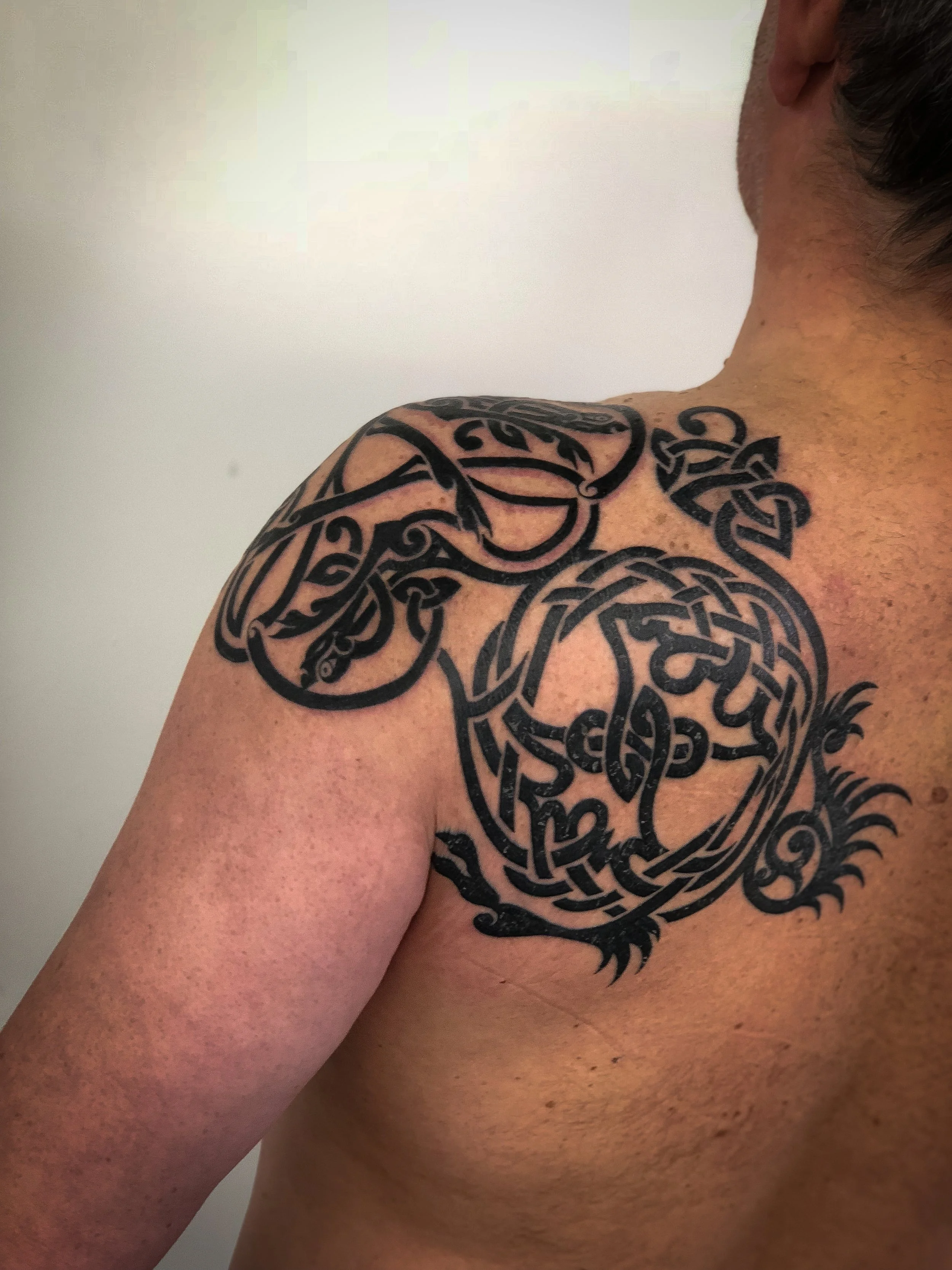 Welsh Celtic dragon knotwork tattoo-3.jpg