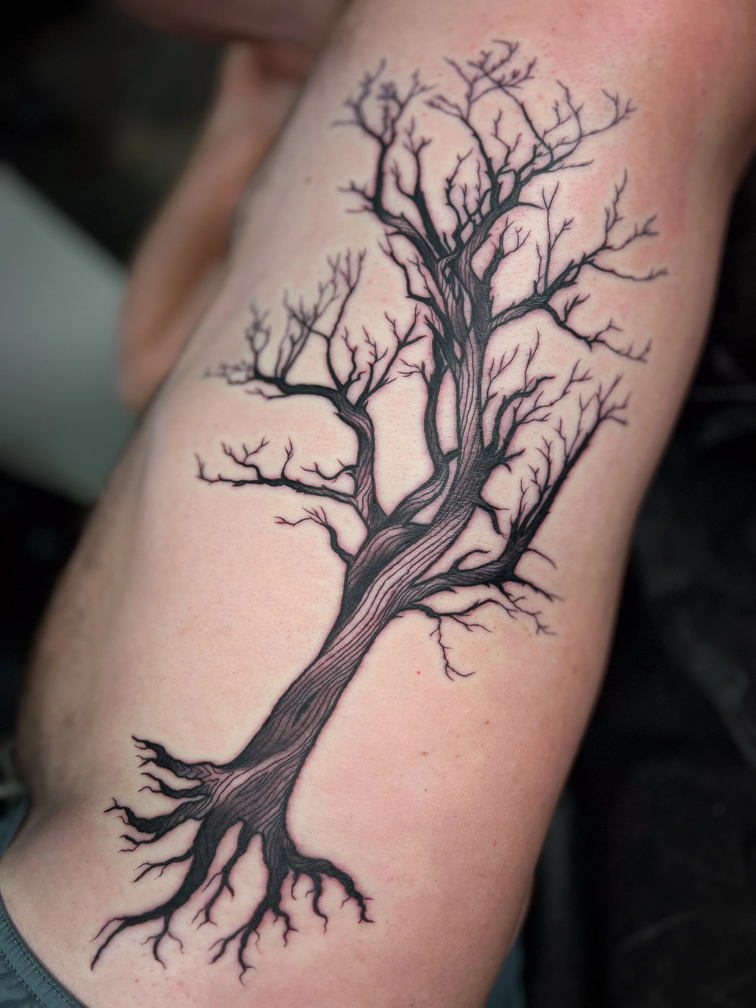 redtailed hawk blackwork illustrative tattoo