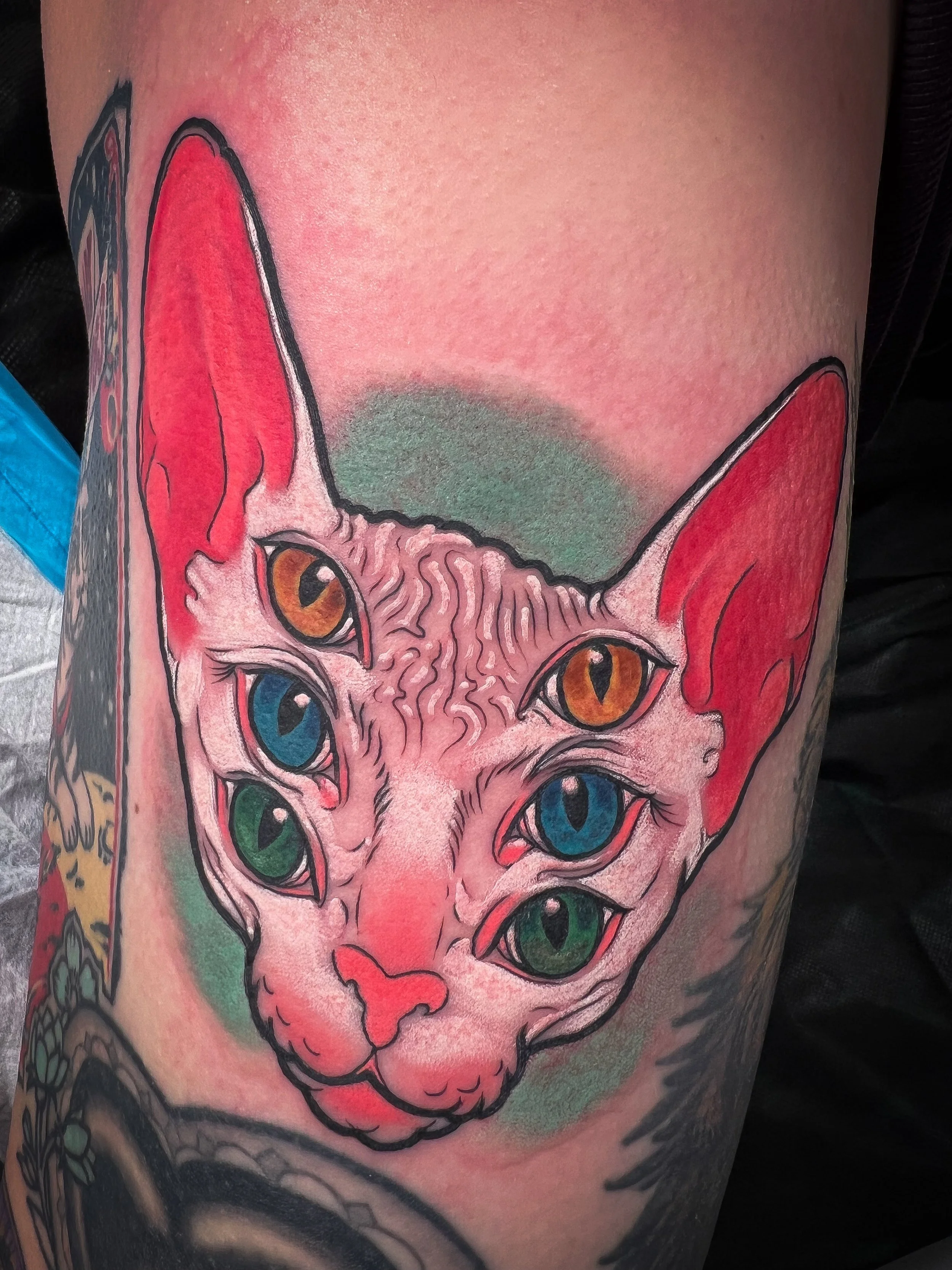 Psychadelic Egyptian Cat Tattoo.jpg