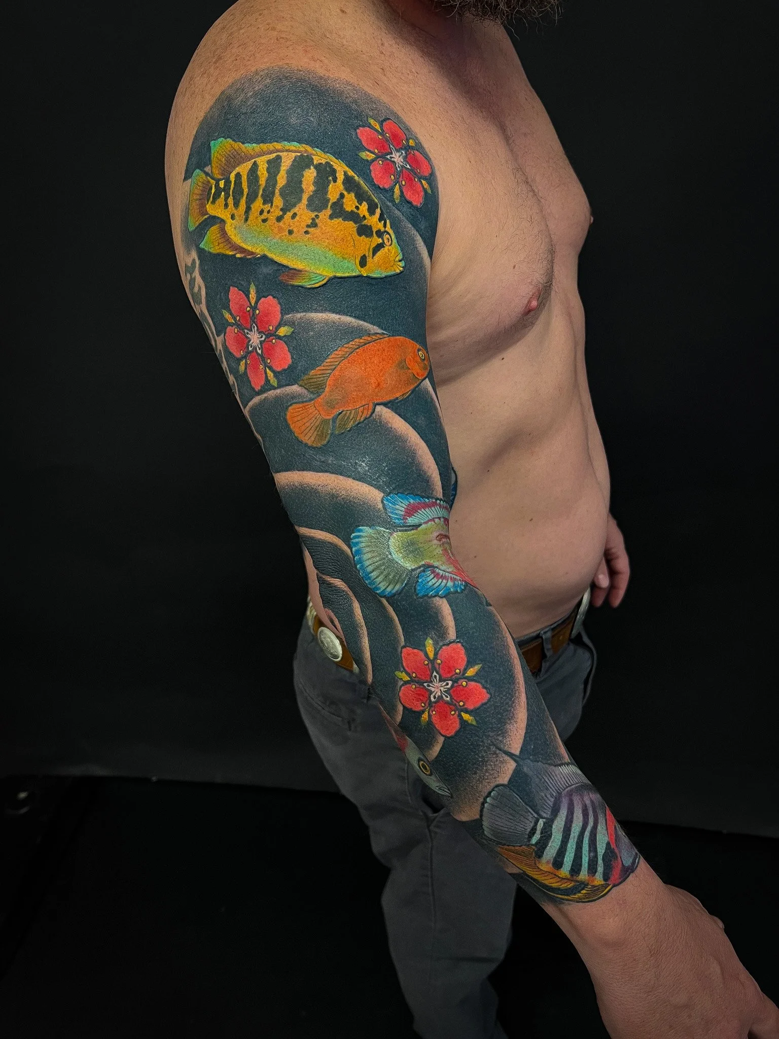 African Cyclid Sleeve.jpg