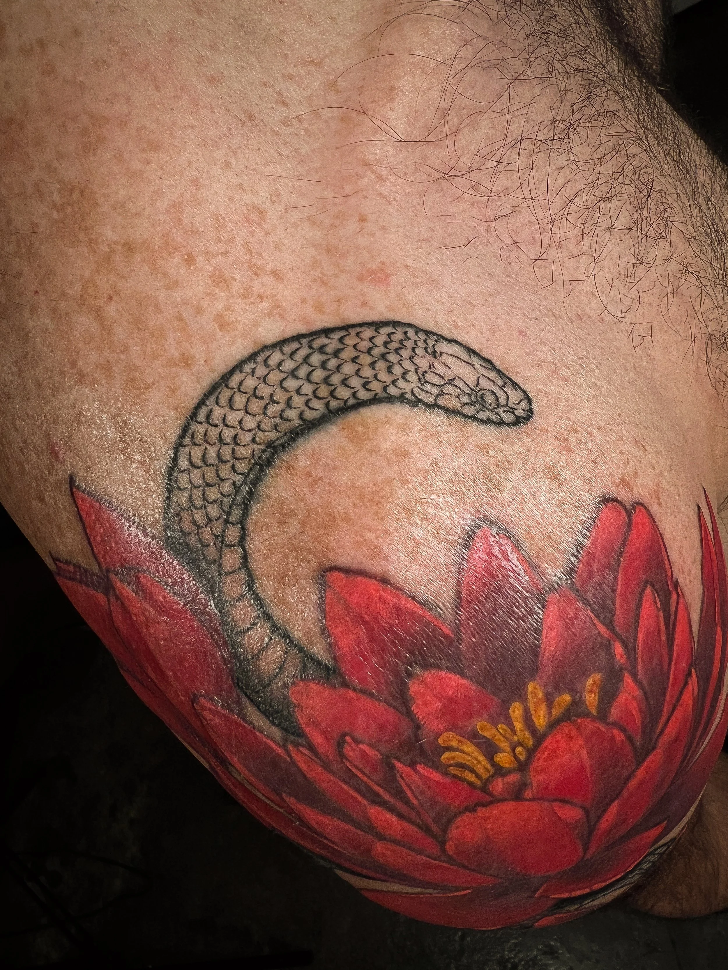 vibrant red peonies and fineline blackwork snake winding through