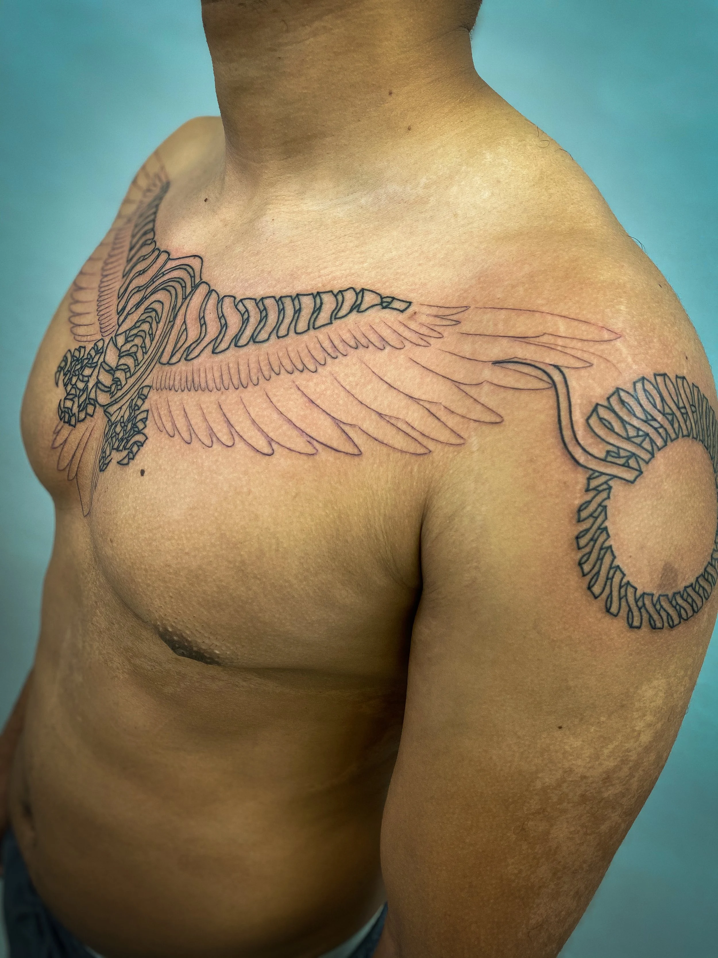 abstract ribbon condor shamanic totem tattoo -1.jpg