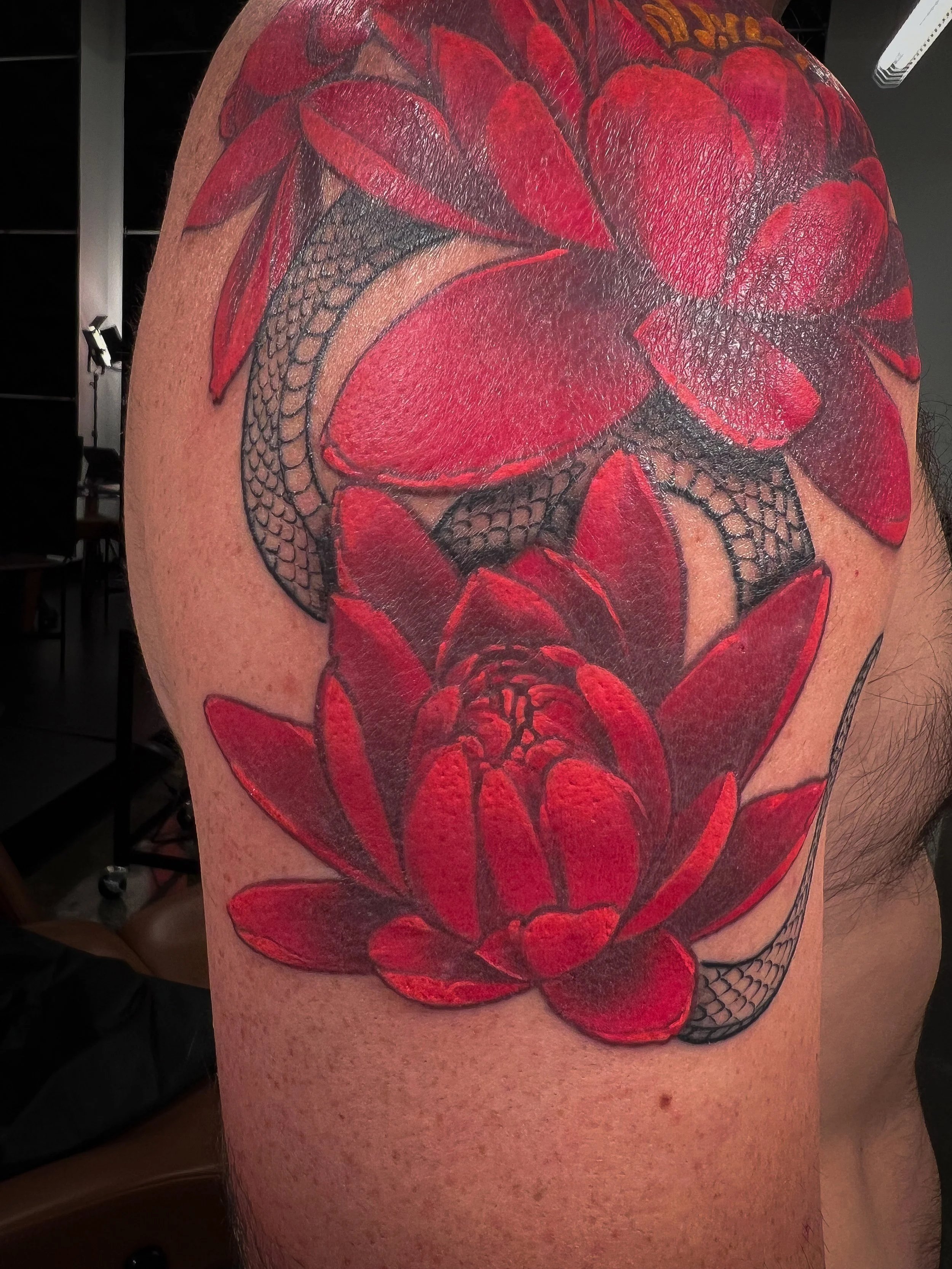 vibrant red peonies and fineline blackwork snake winding through