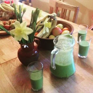 Yoga retreat, Eden Rise, Totnes, Devon