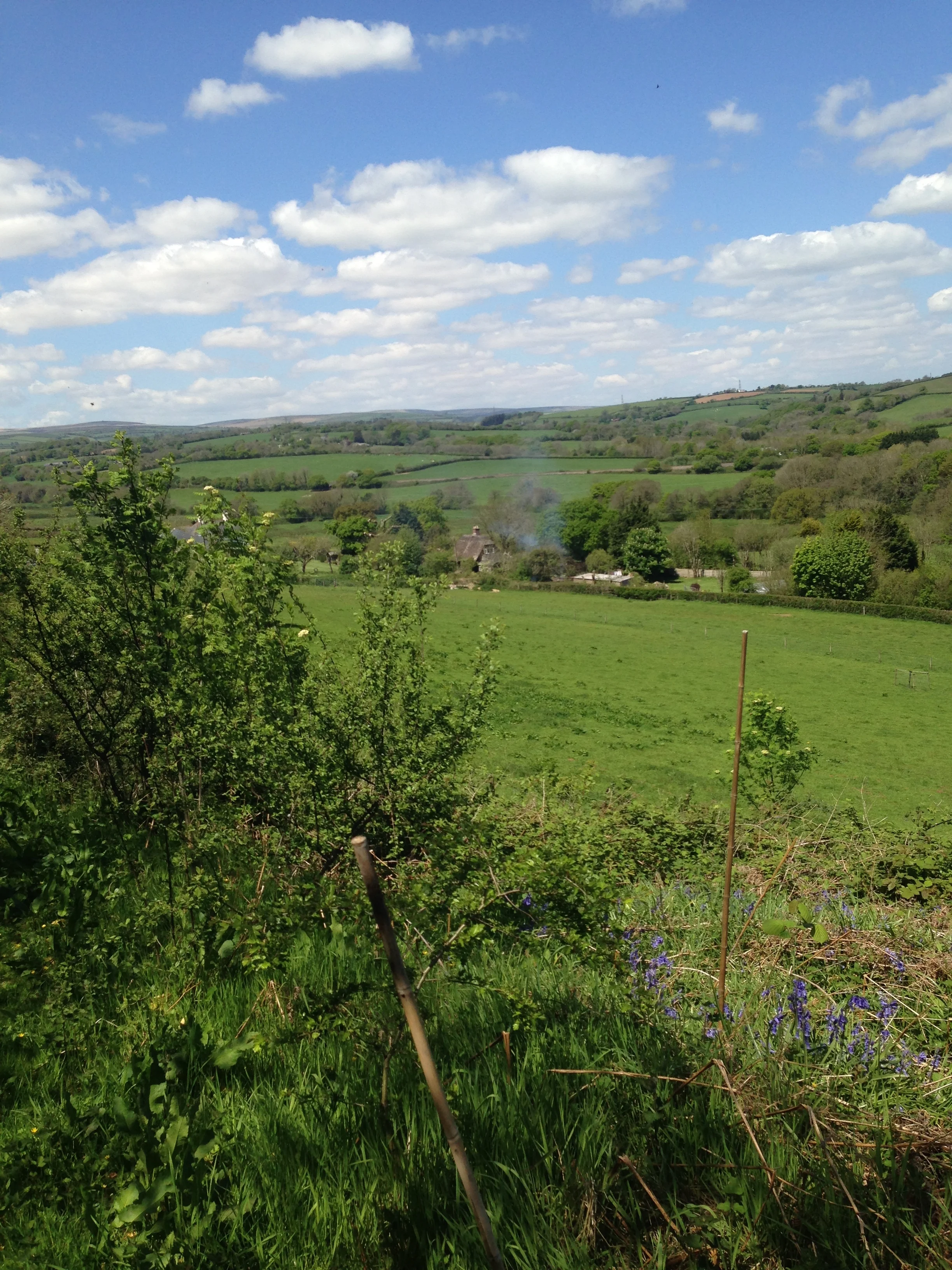 Summer Yoga Retreat at Eden Rise June 2017 