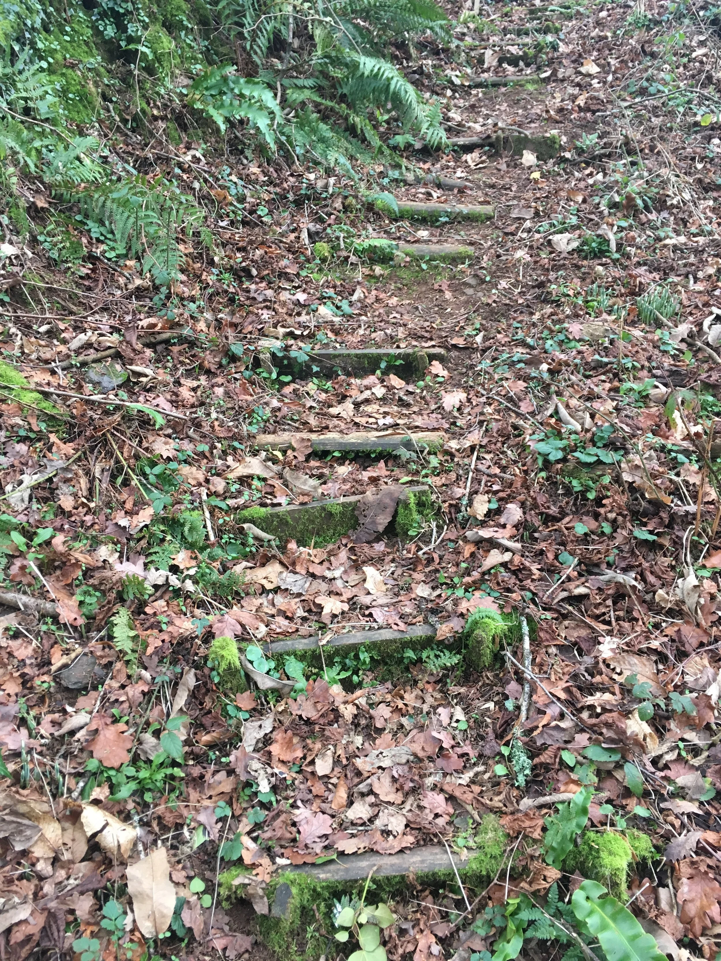 New Year Yoga &amp; Meditation Retreat  