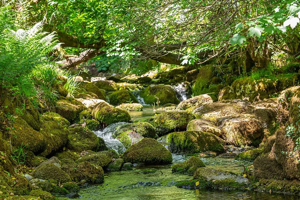 Spring Women's Yoga Retreat 