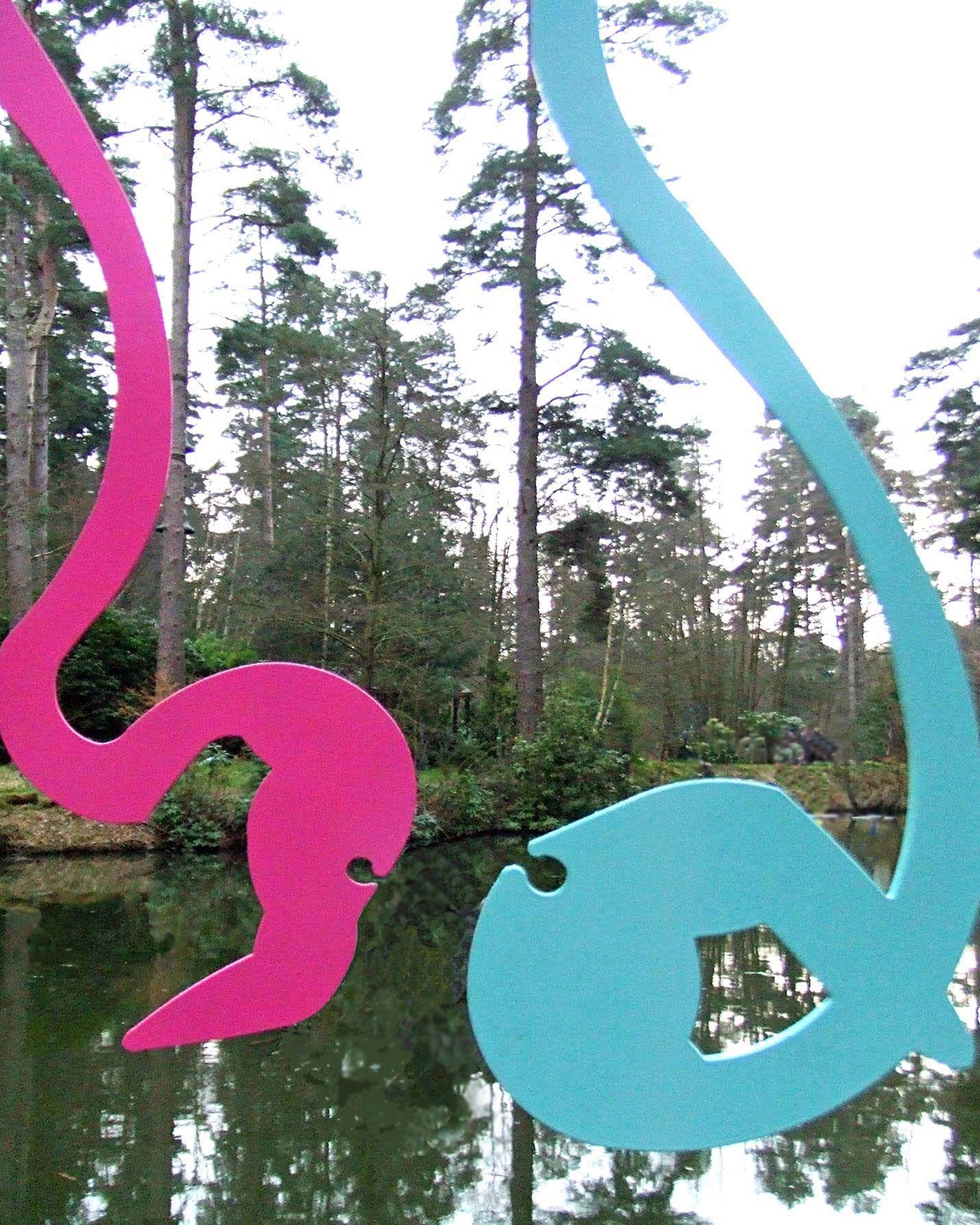 Flamboyance of Flamingos © Text☰