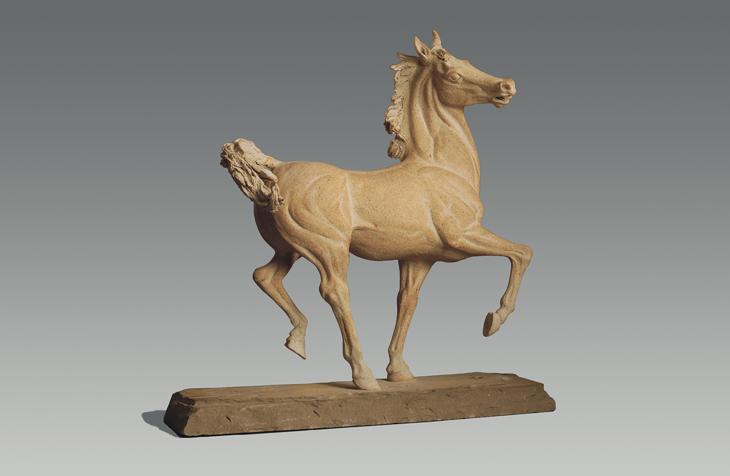 Equus &nbsp; ©  58.5 cm high x 56 cm wide  Unique 