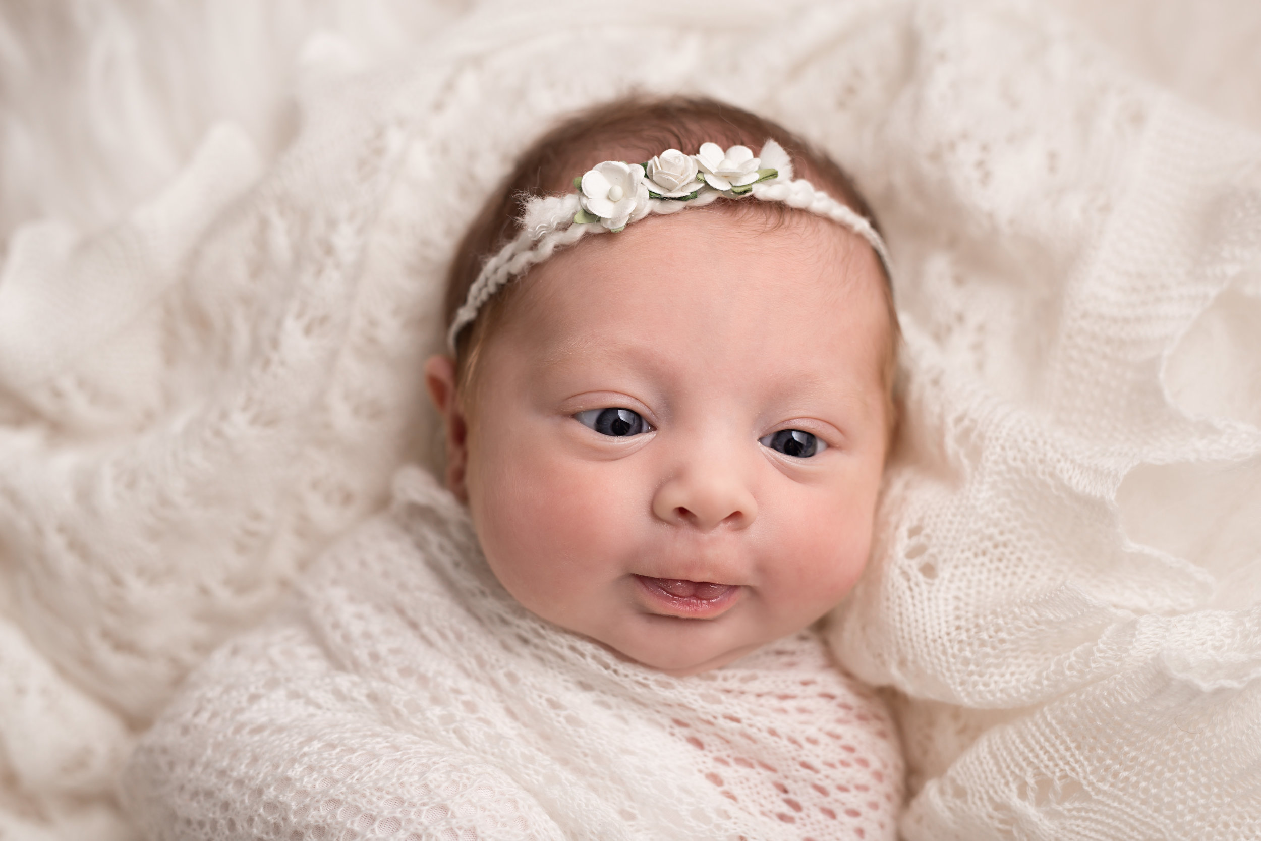 Karen Kimmins newborn photography..jpg