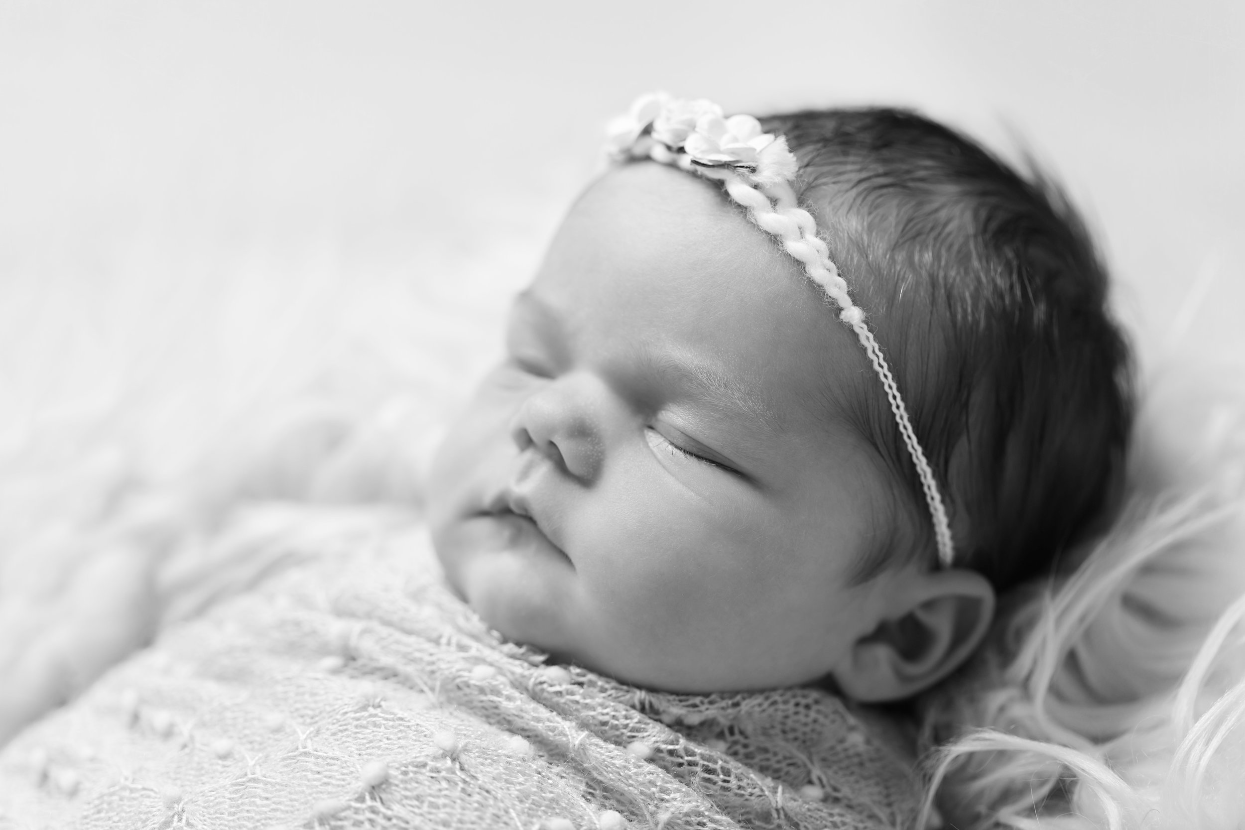 Karen Kimmins newborn photographer, Wellington, Taunton..jpg