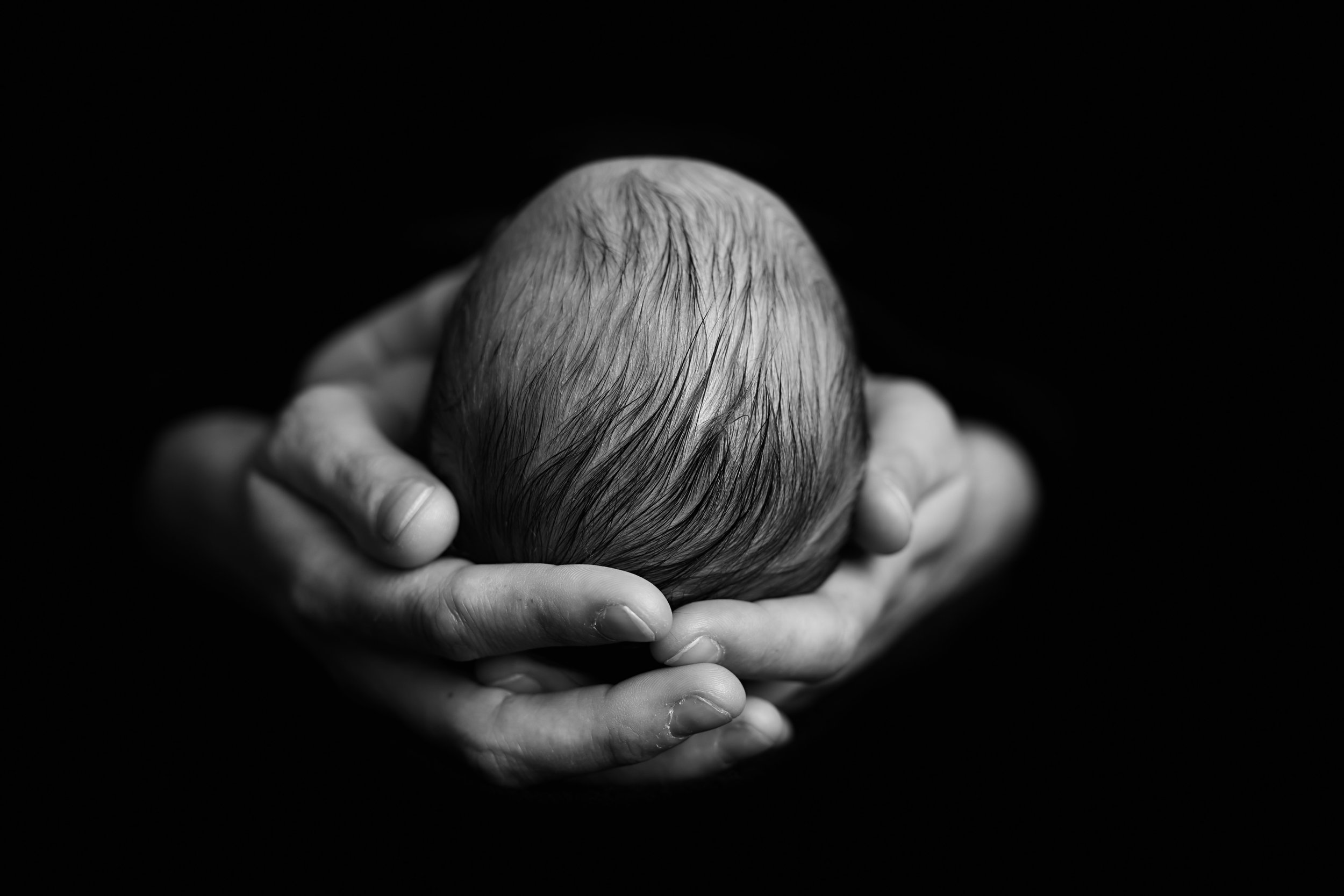 Newborn Photography, Taunton, |Wellington. Karen Kimmins..jpg