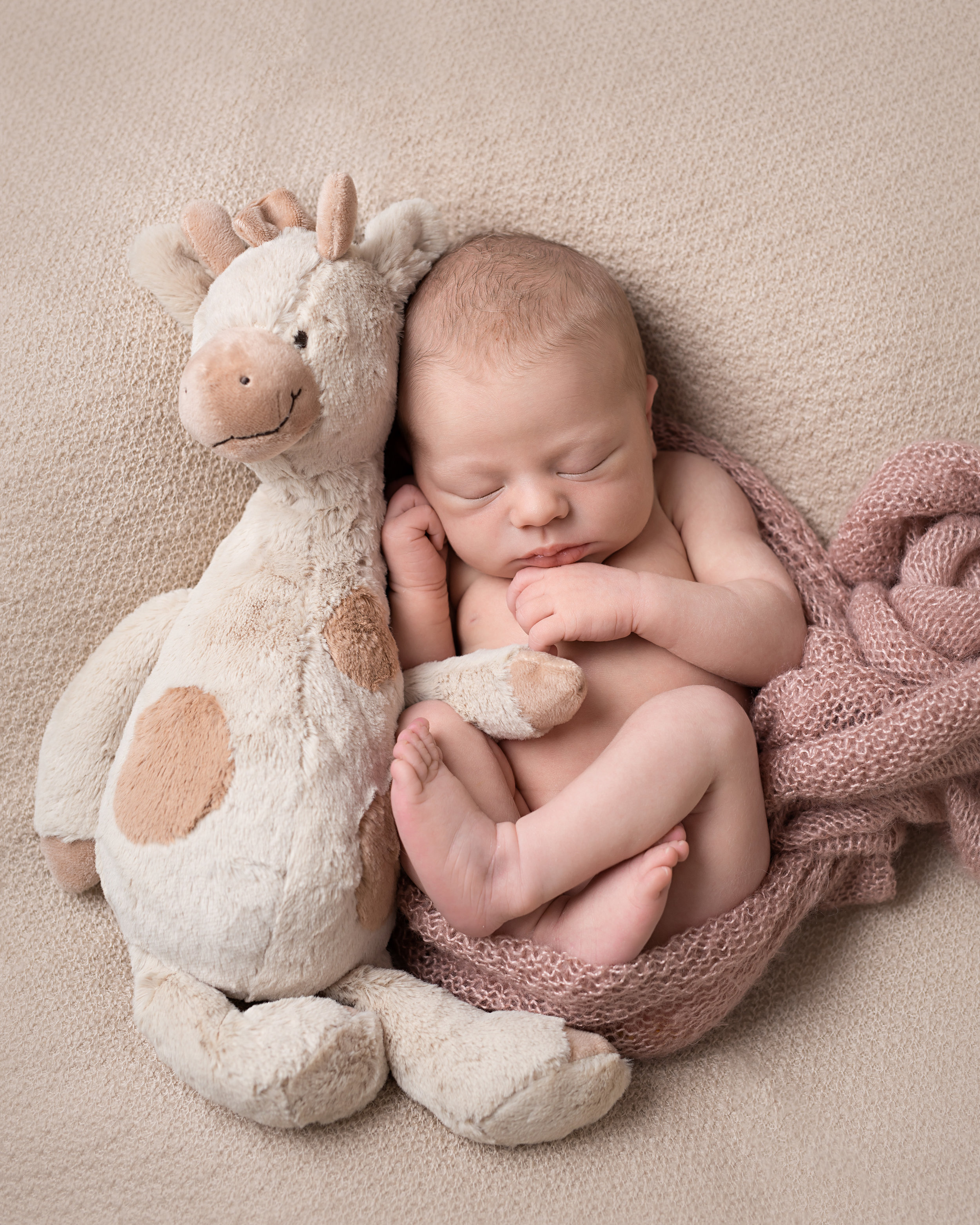 Karen Kimmins newborn Photography10.jpg