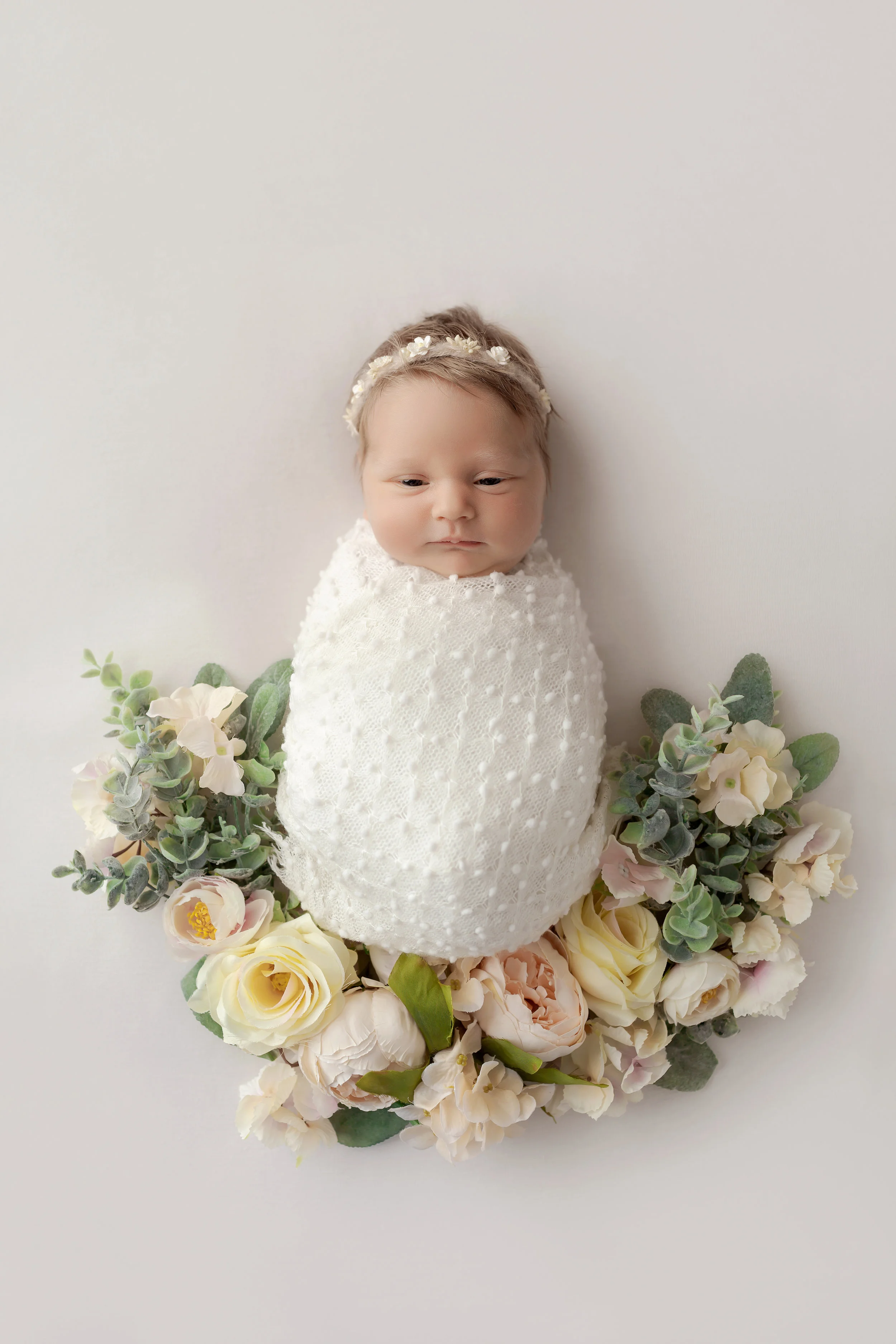 Karen Kimmins Newborn Photography..jpg