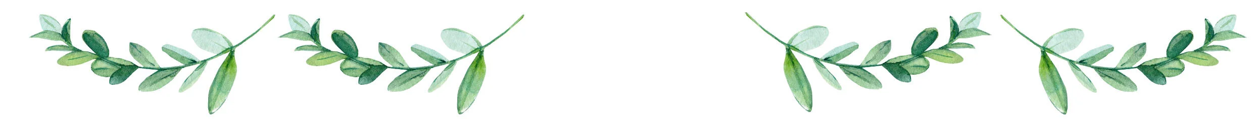 Website leaves 1A.jpg